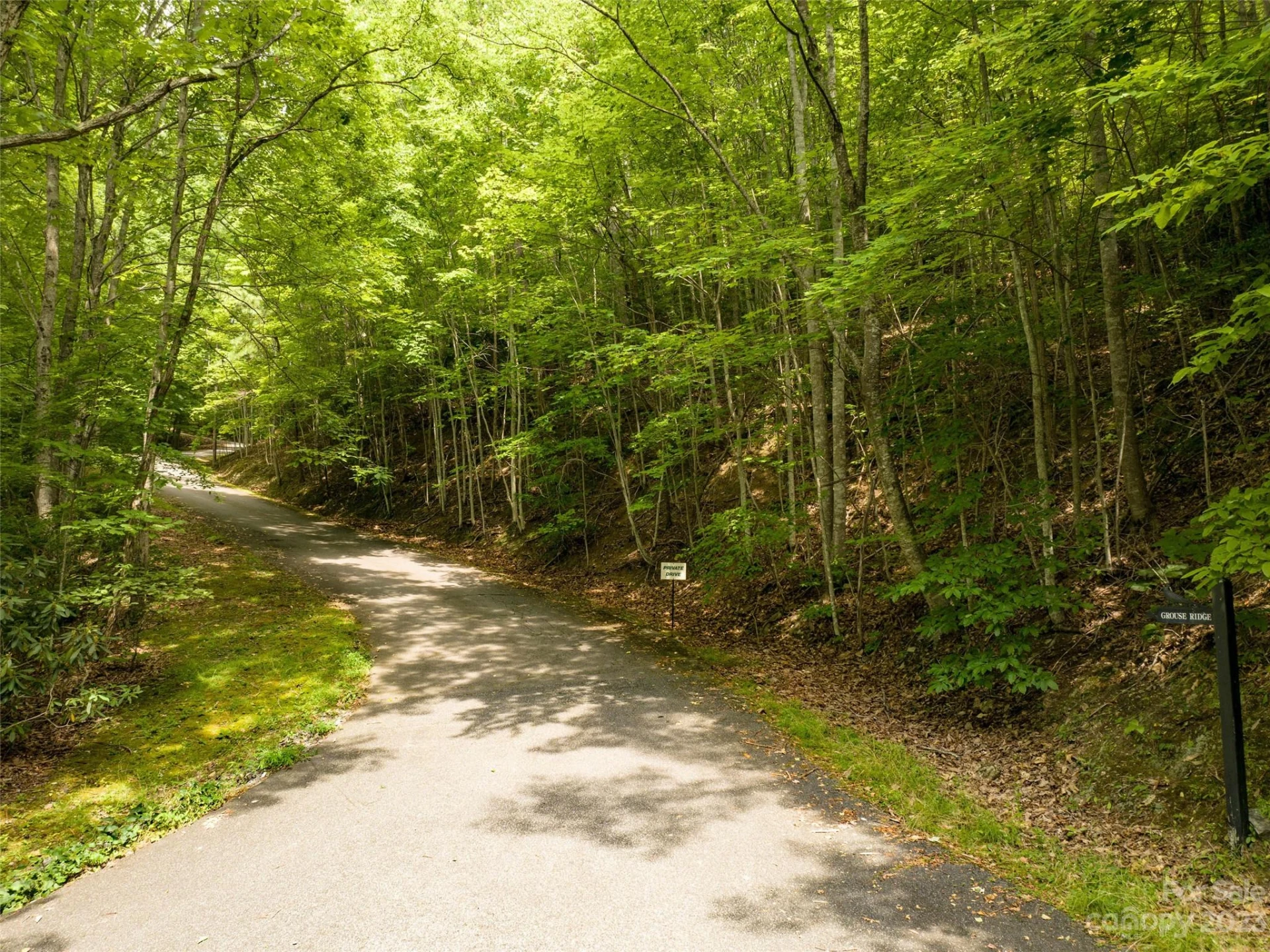 00 Grouse Ridge Road #1 - Photo 9