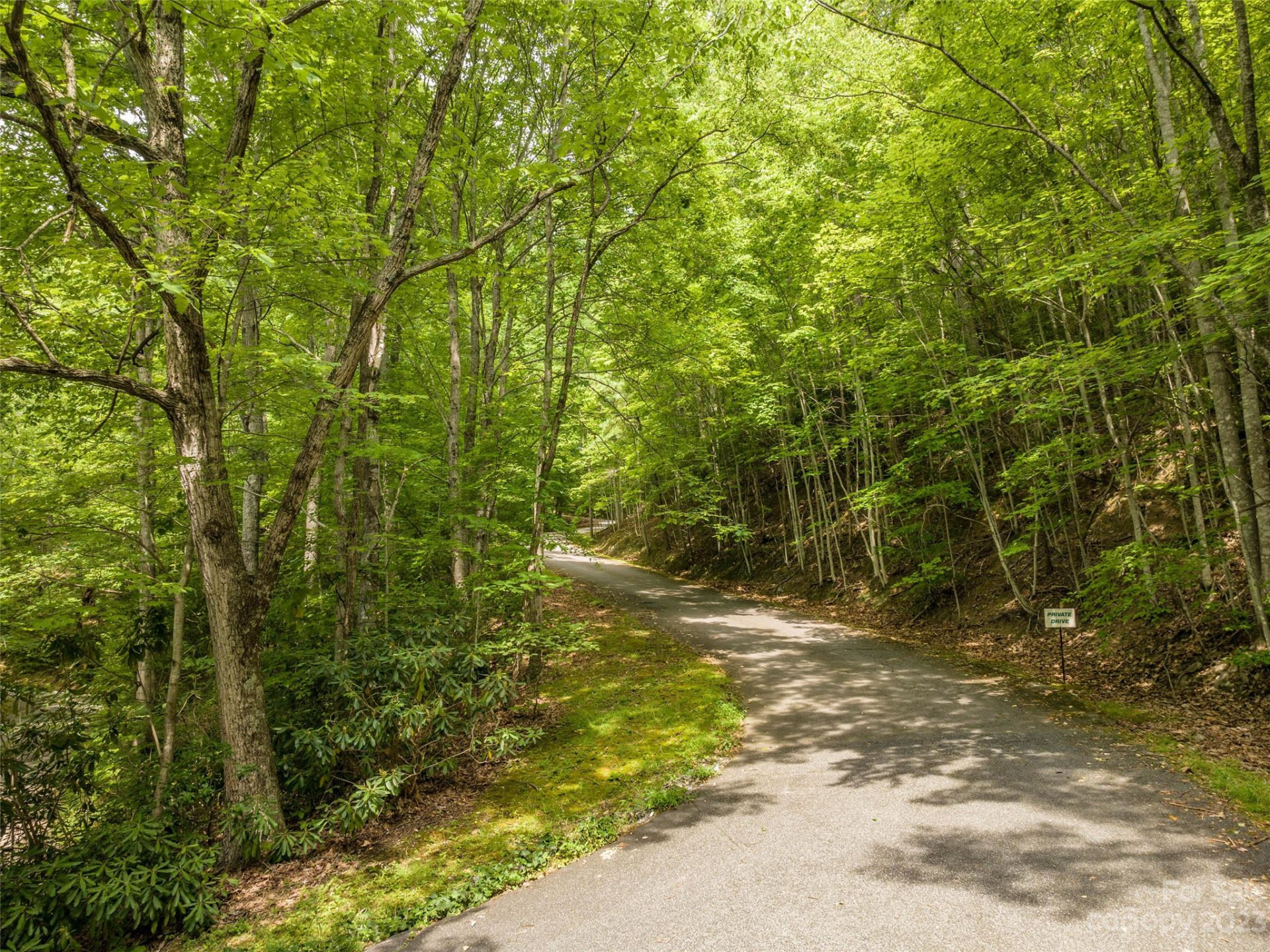 00 Grouse Ridge Road #1 - Photo 10