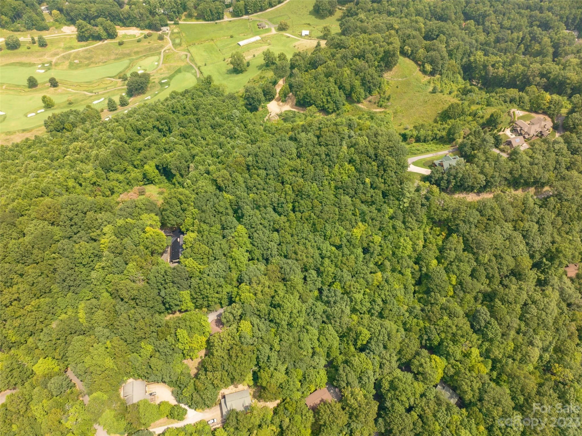 00 Grouse Ridge Road #2 - Photo 5
