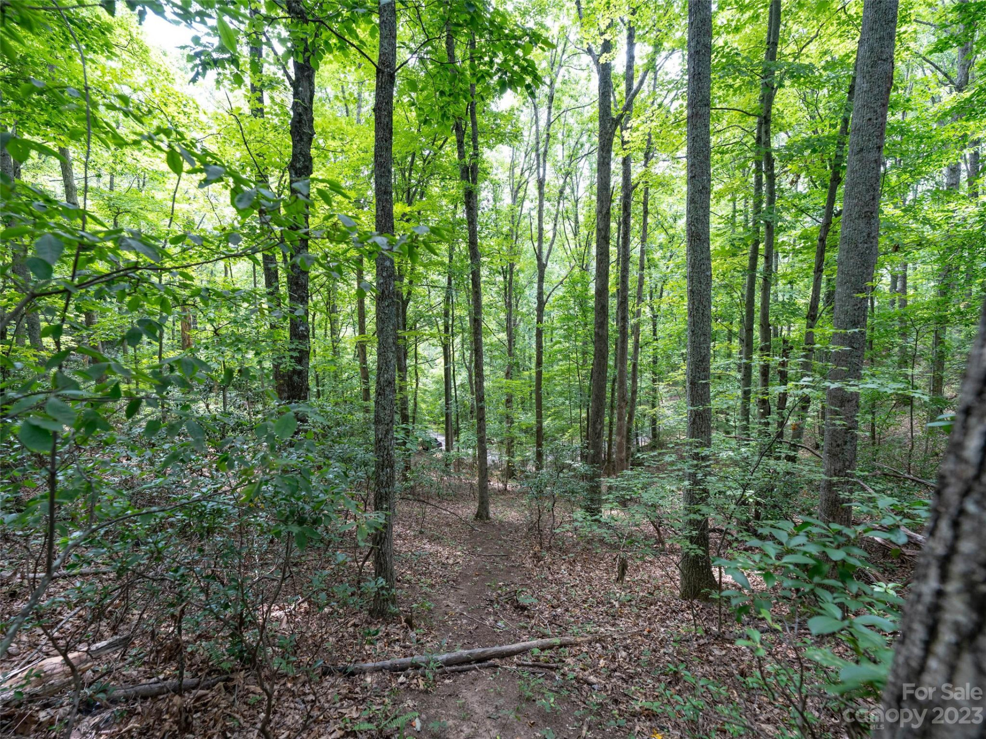 00 Grouse Ridge Road #2 - Photo 9