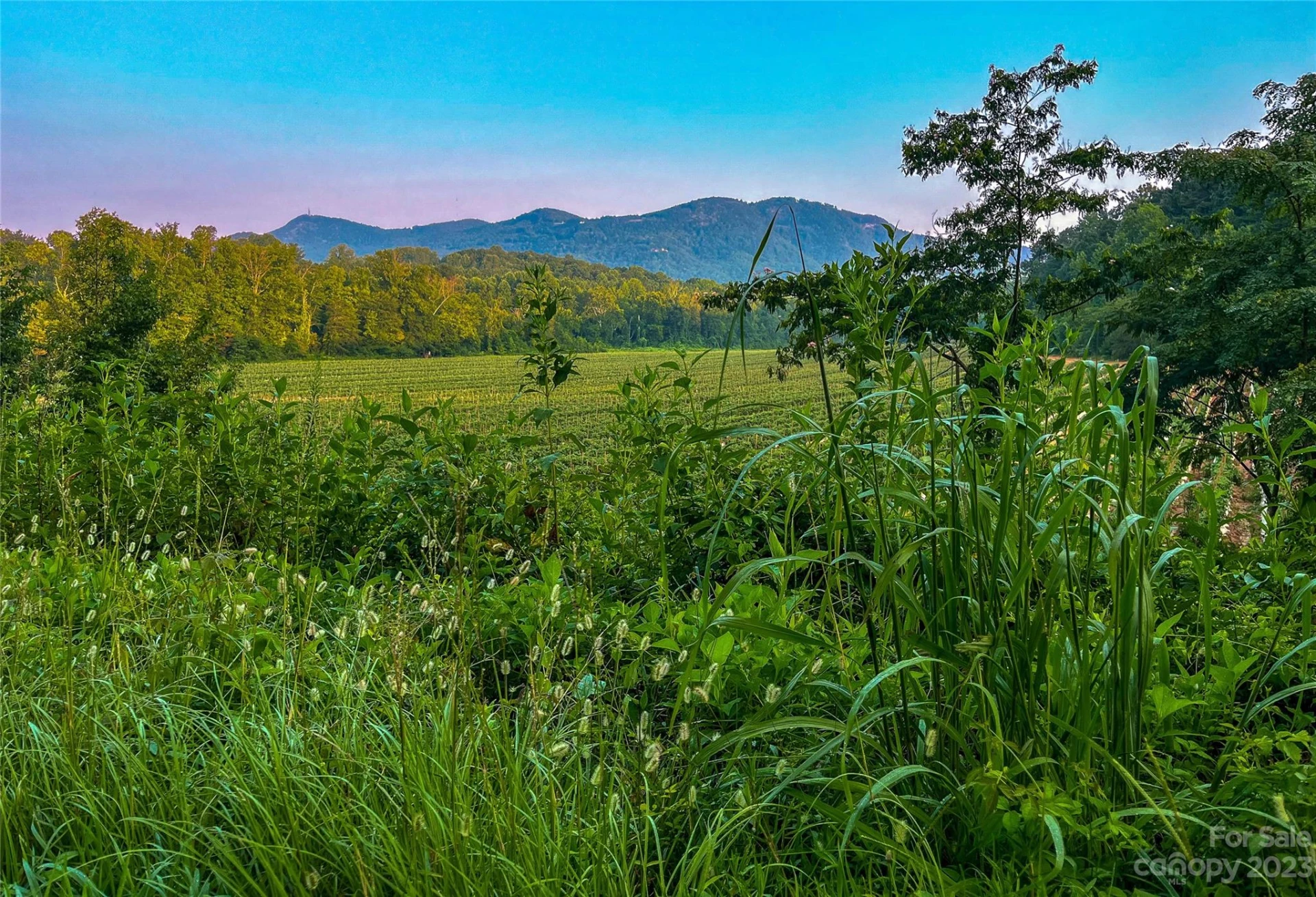0 Fox Mountain Road #1 - Photo 4