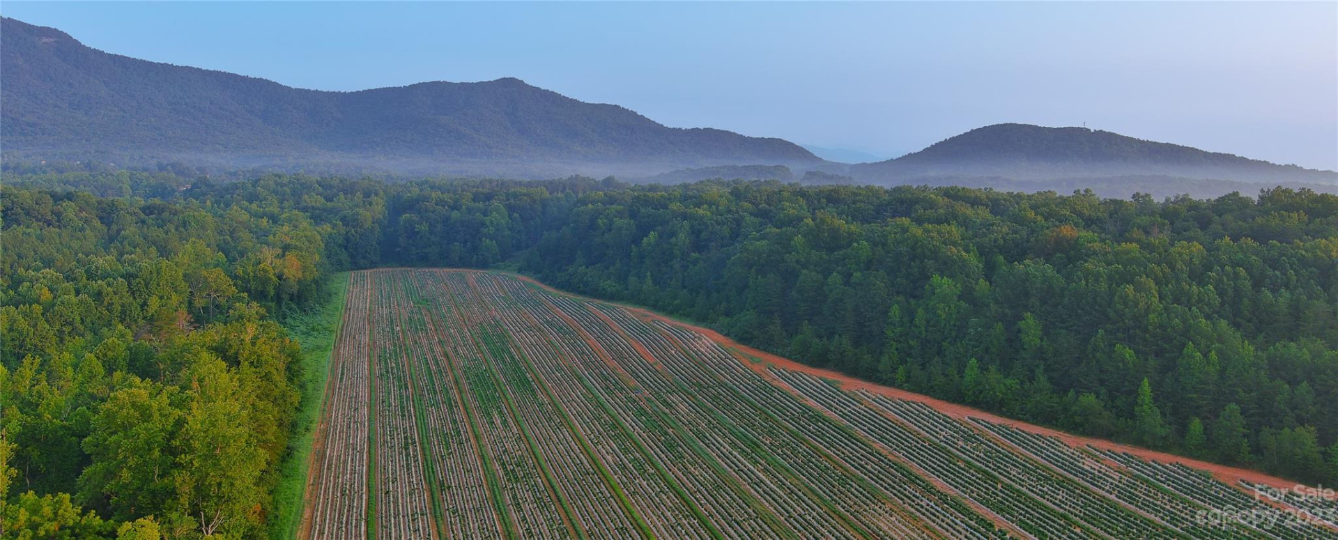 0 Fox Mountain Road #2