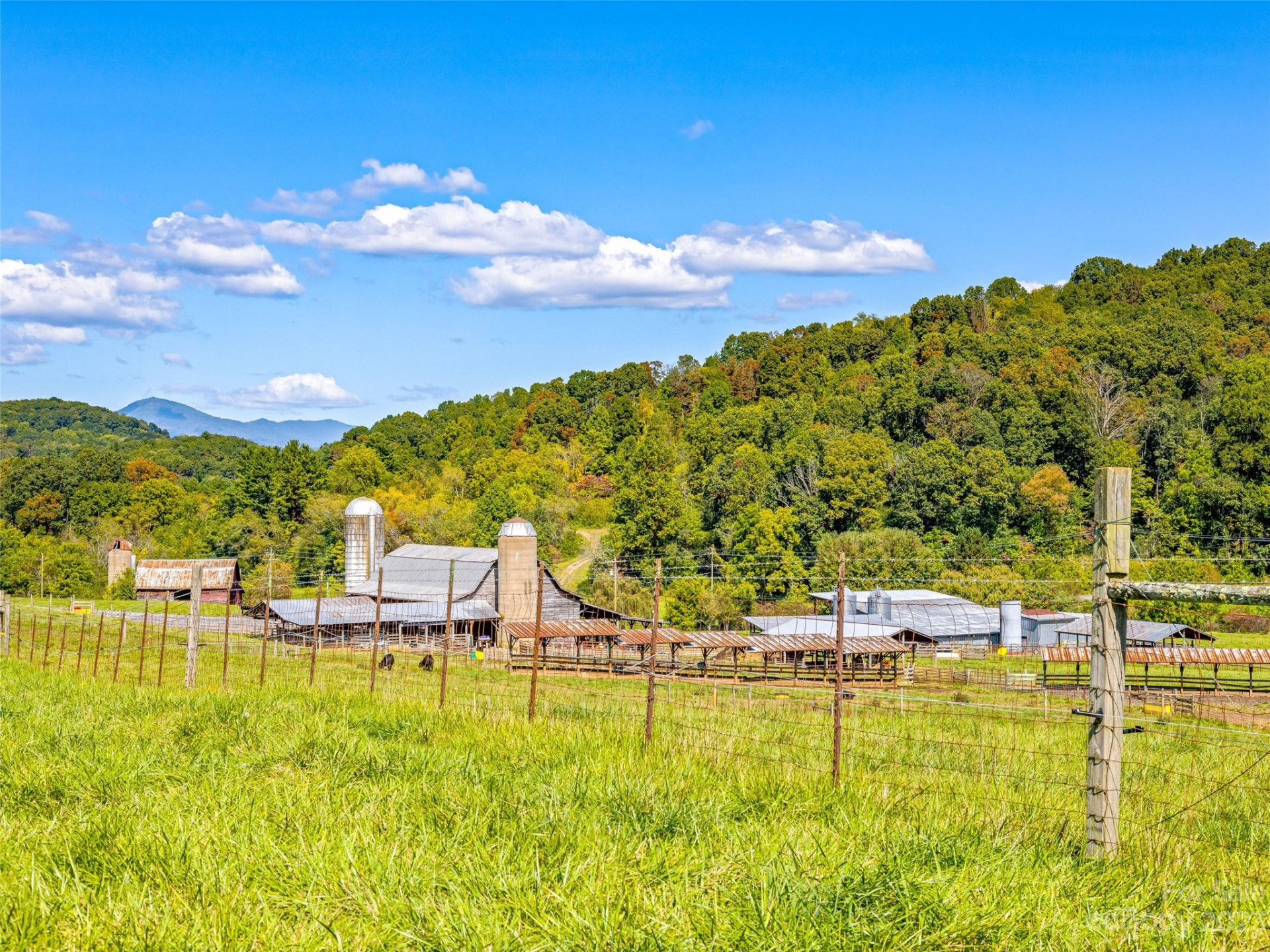 192 Ratcliff Cove Road - Photo 28