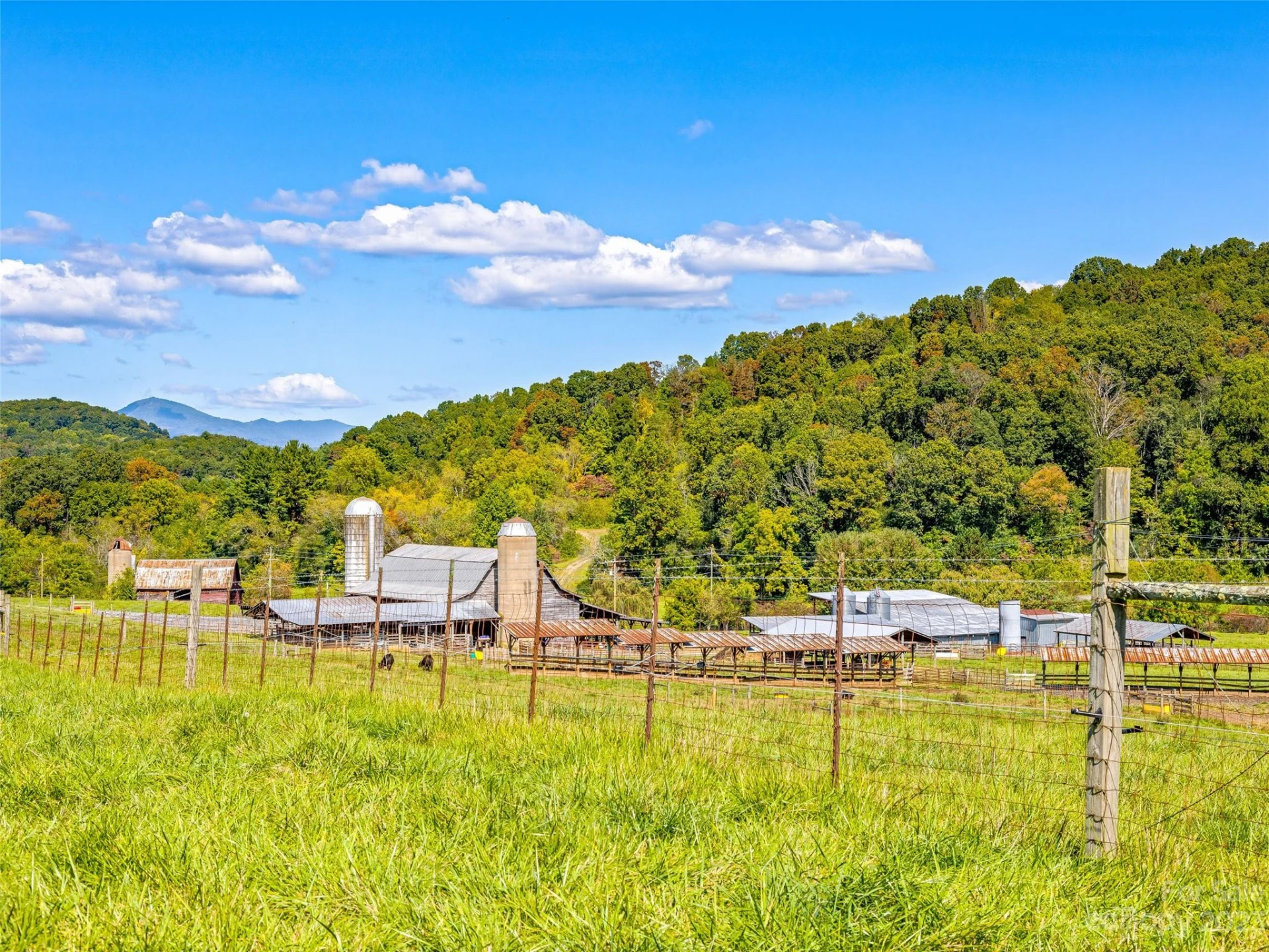 192 Ratcliff Cove Road - Photo 28