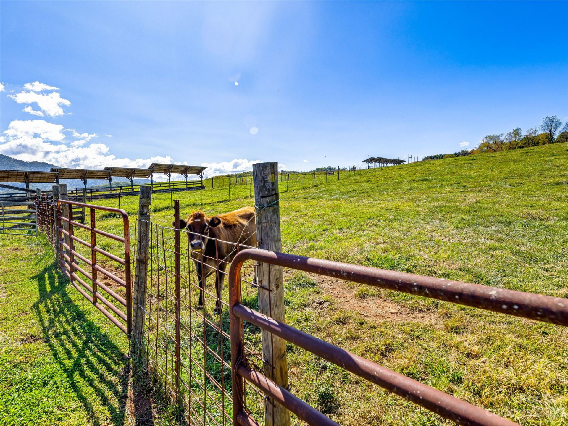 192 Ratcliff Cove Road - Photo 39