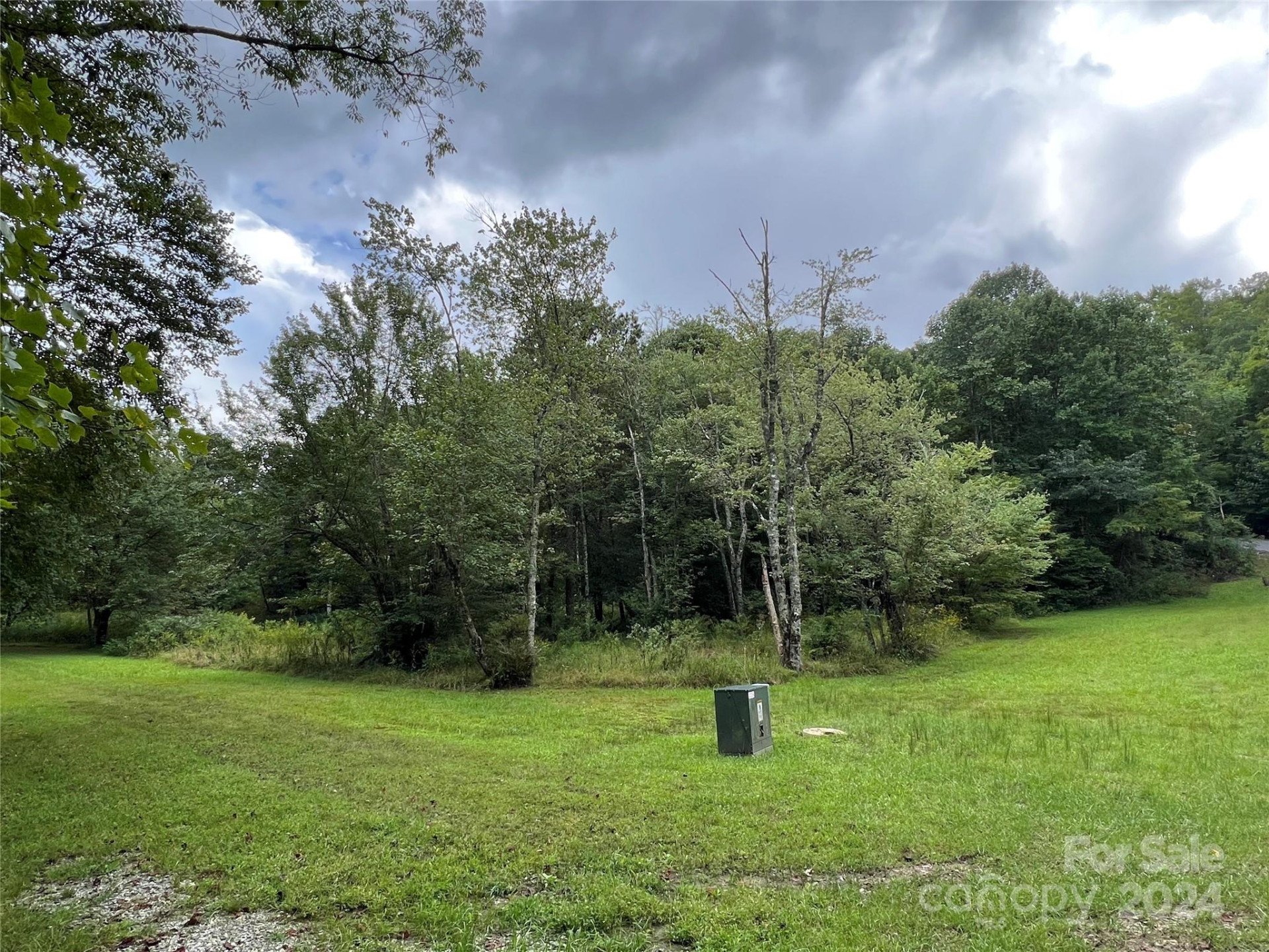 L 3 Sweetwater Ridge Road - Photo 11