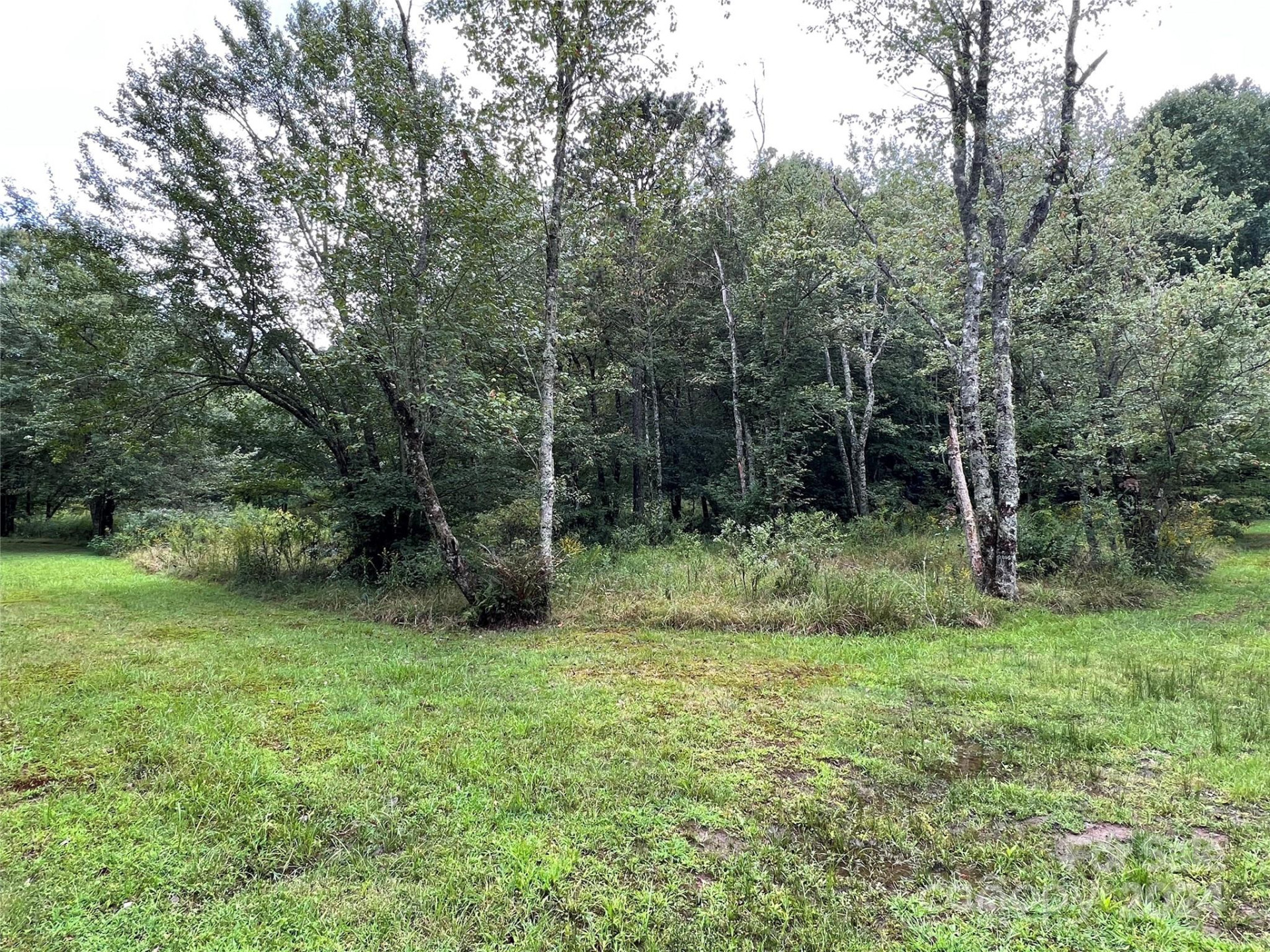 L 3 Sweetwater Ridge Road - Photo 19