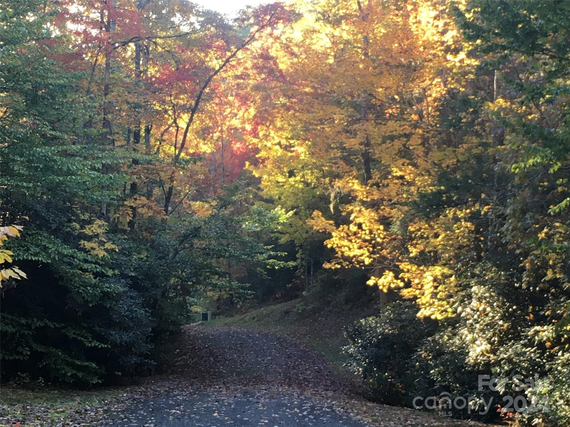 L 3 Sweetwater Ridge Road - Photo 27