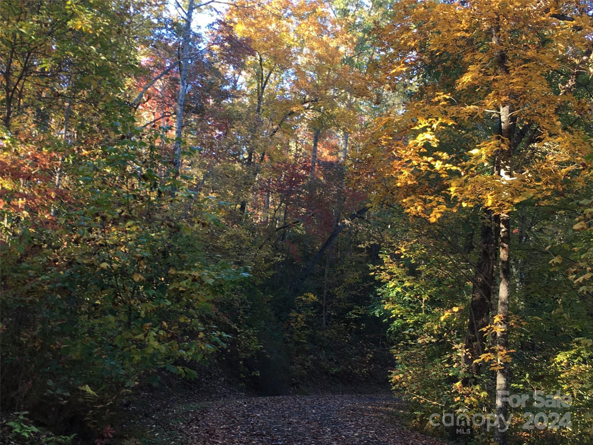 L 3 Sweetwater Ridge Road - Photo 30