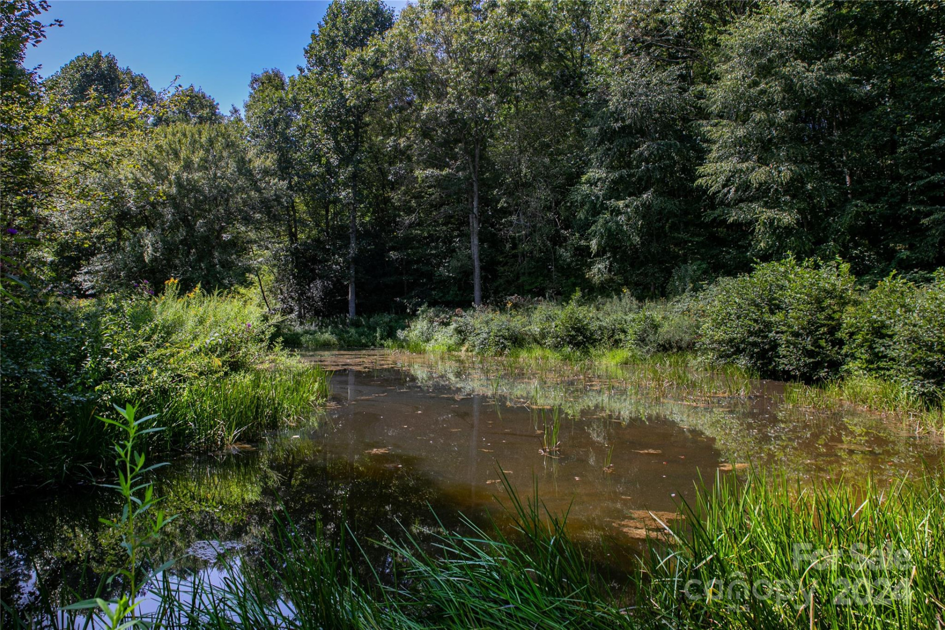 L 3 Sweetwater Ridge Road - Photo 4