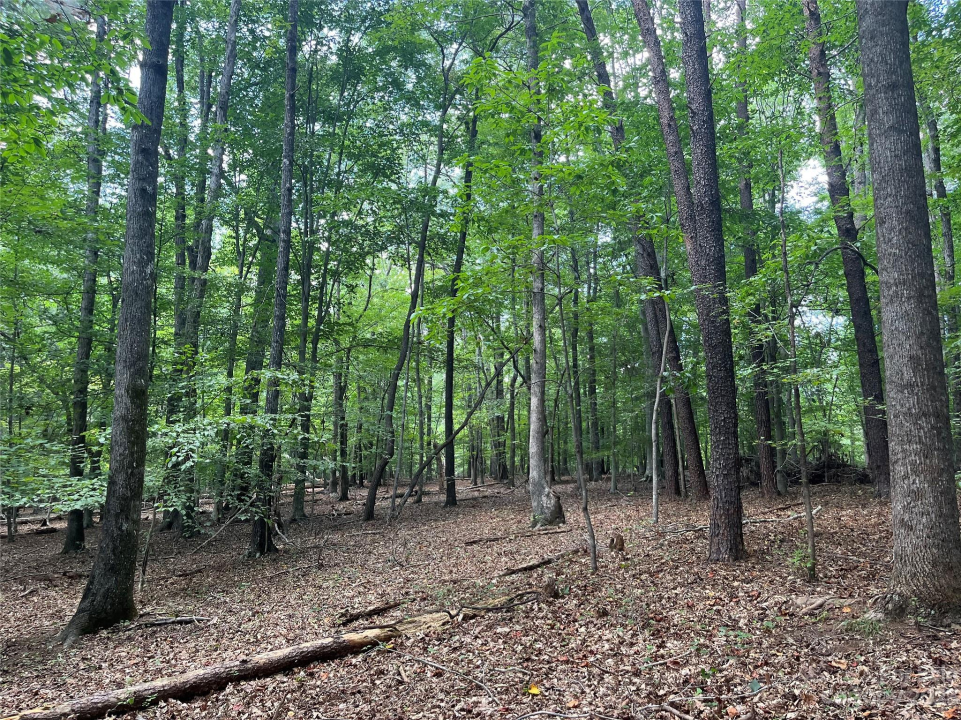 0 Fox Mountain Road #9