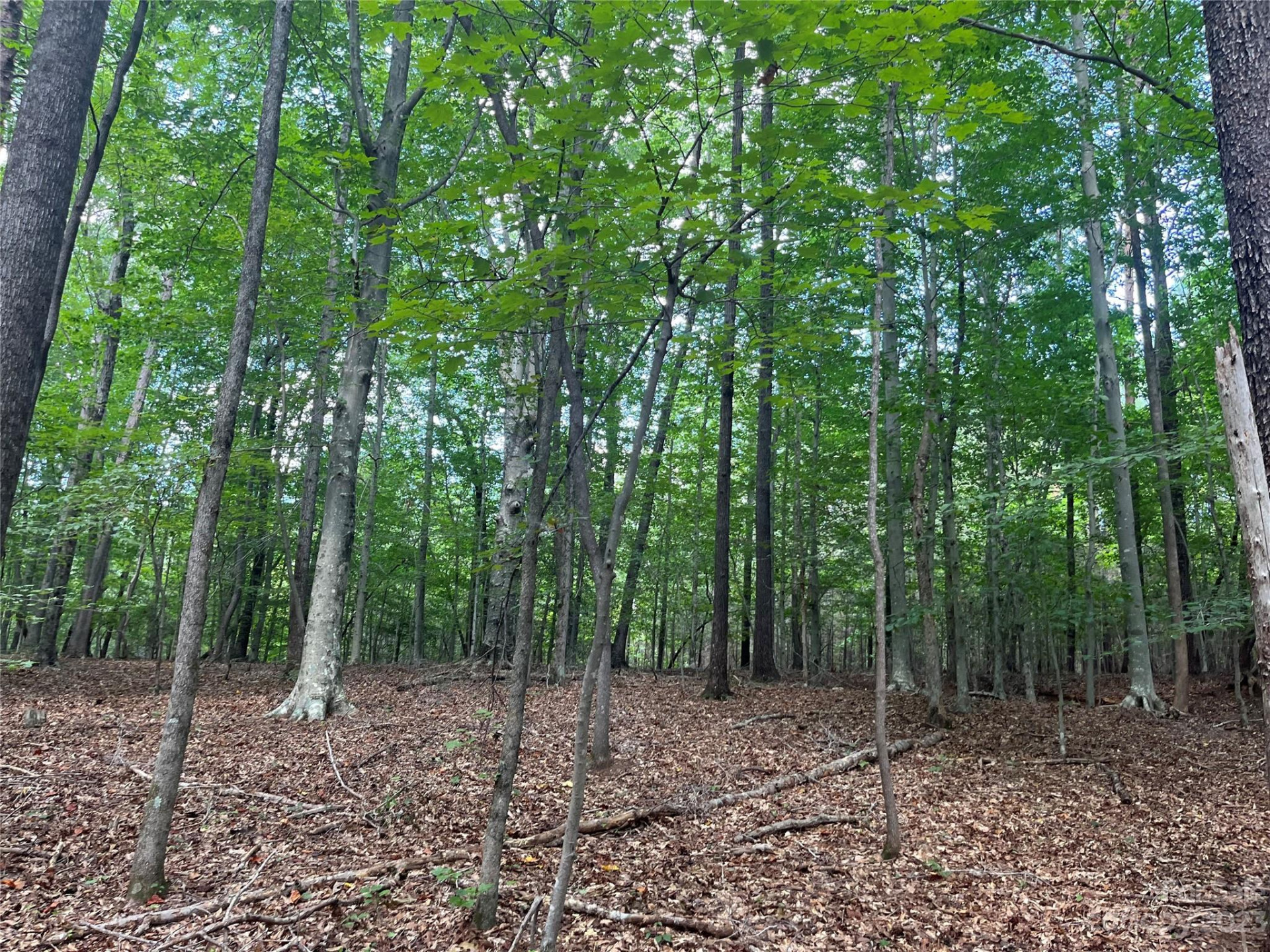 0 Fox Mountain Road #9 - Photo 2