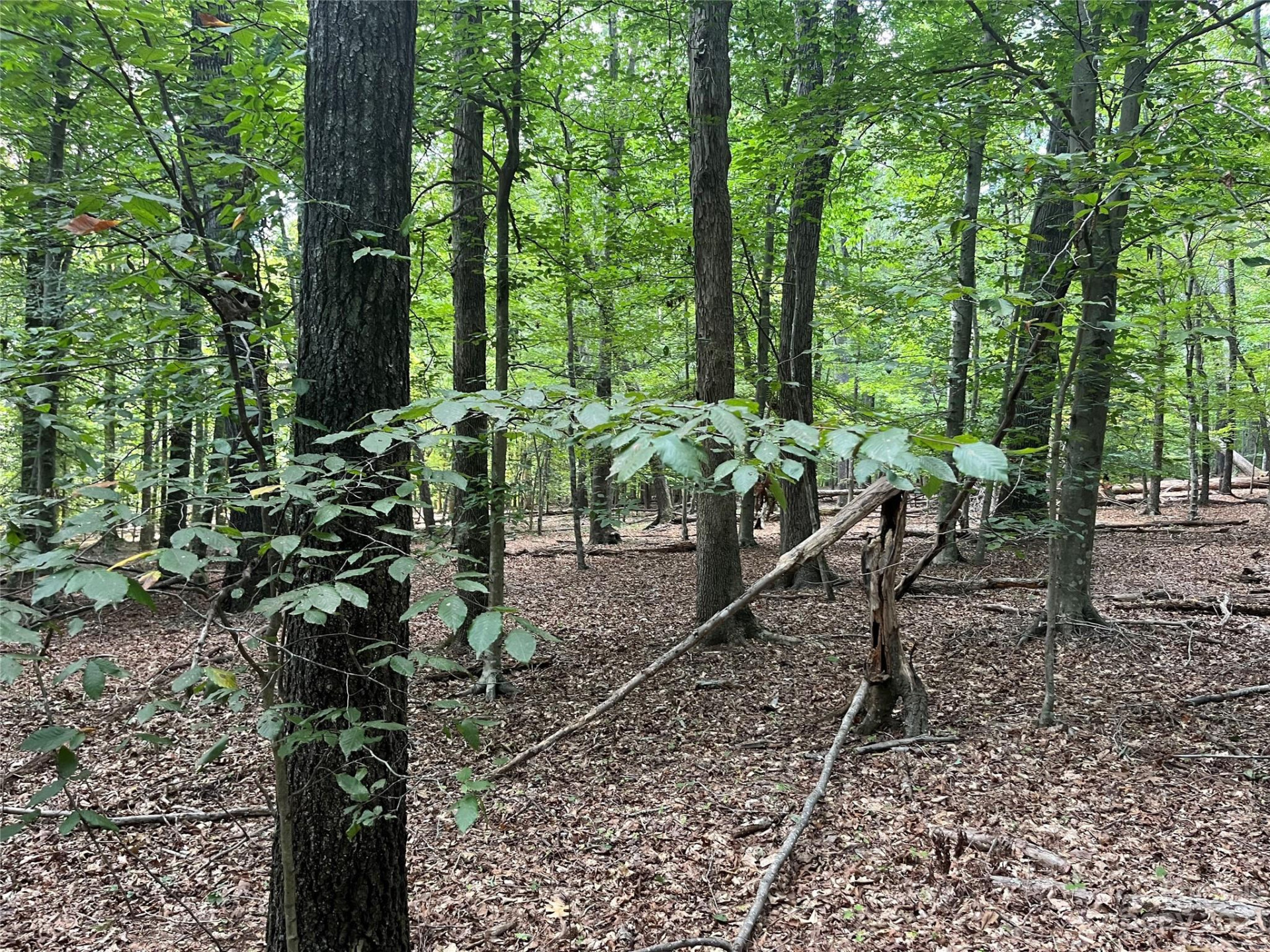 0 Fox Mountain Road #9 - Photo 3