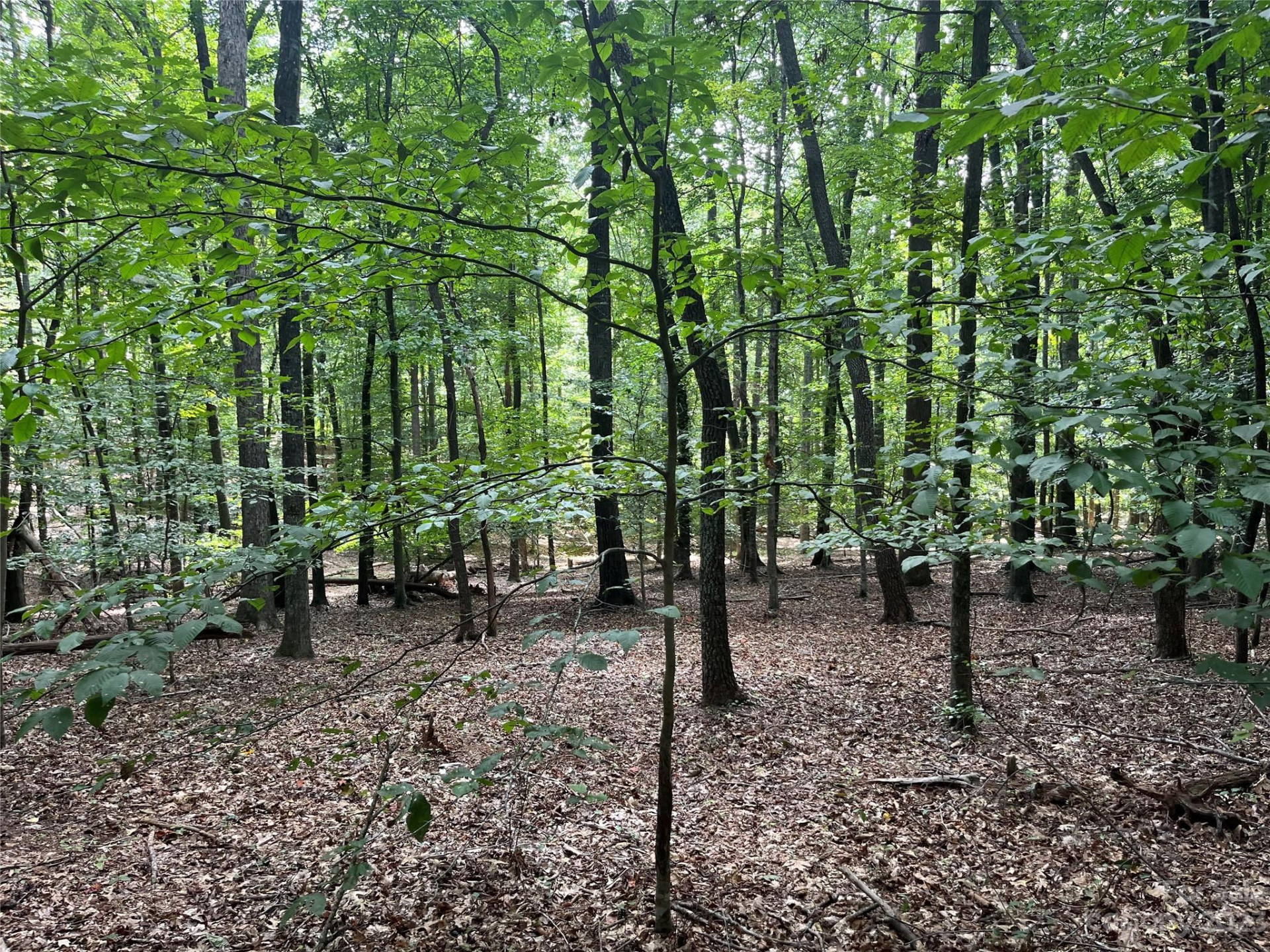 0 Fox Mountain Road #9 - Photo 4