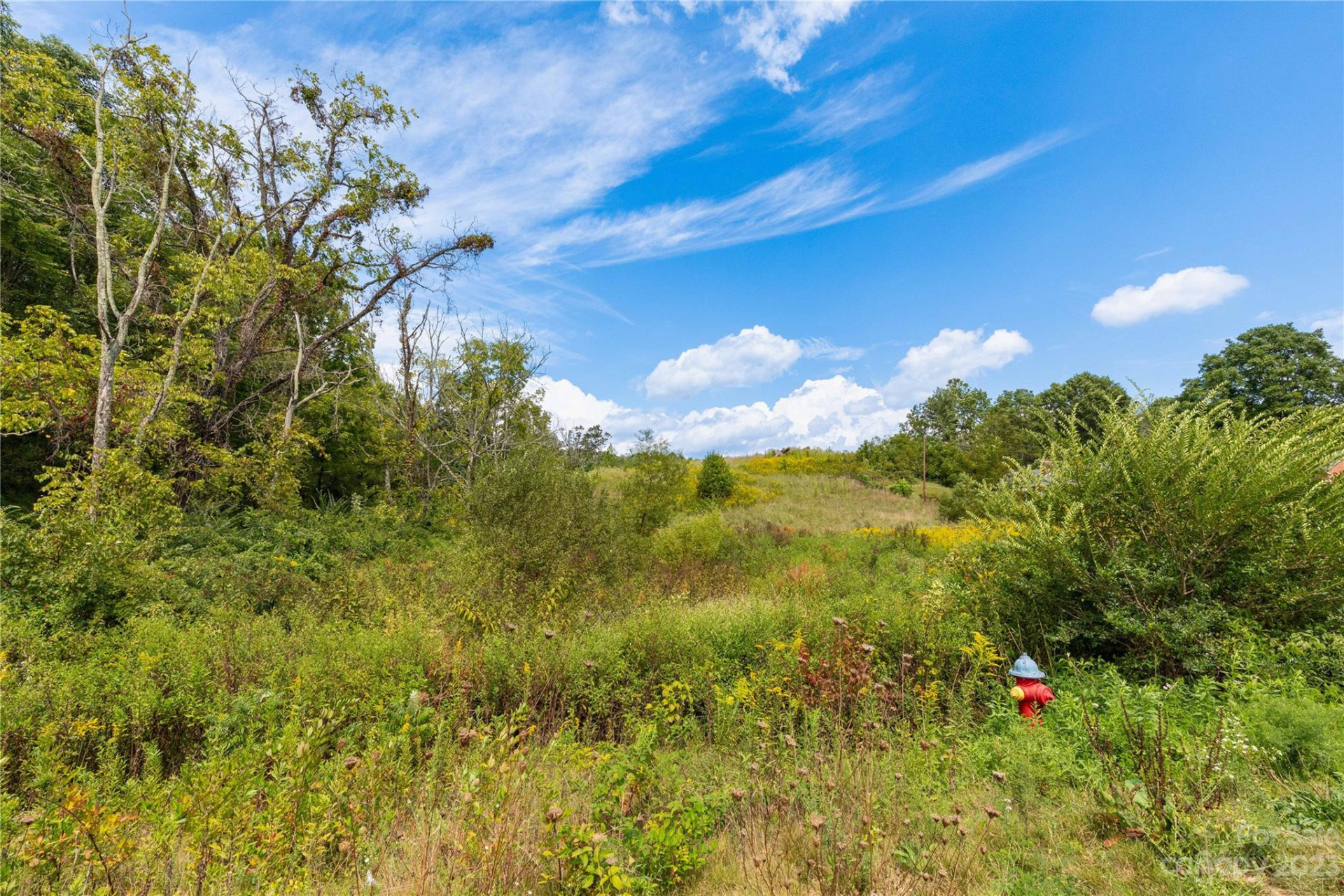 271 Howell Mill Road - Photo 5