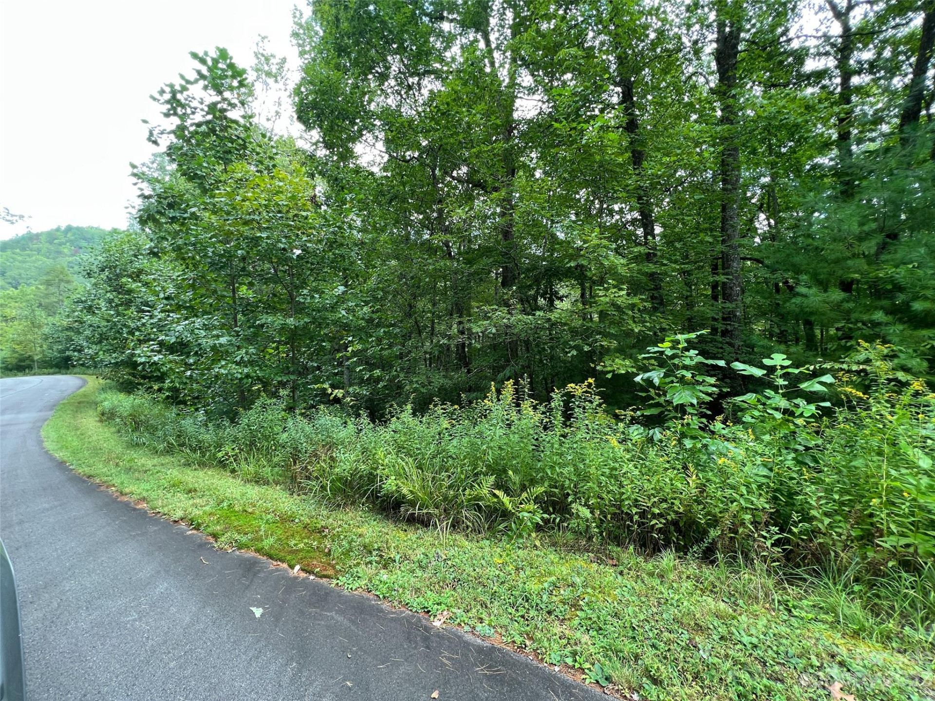 103 Laurel Thicket Lane - Photo 2