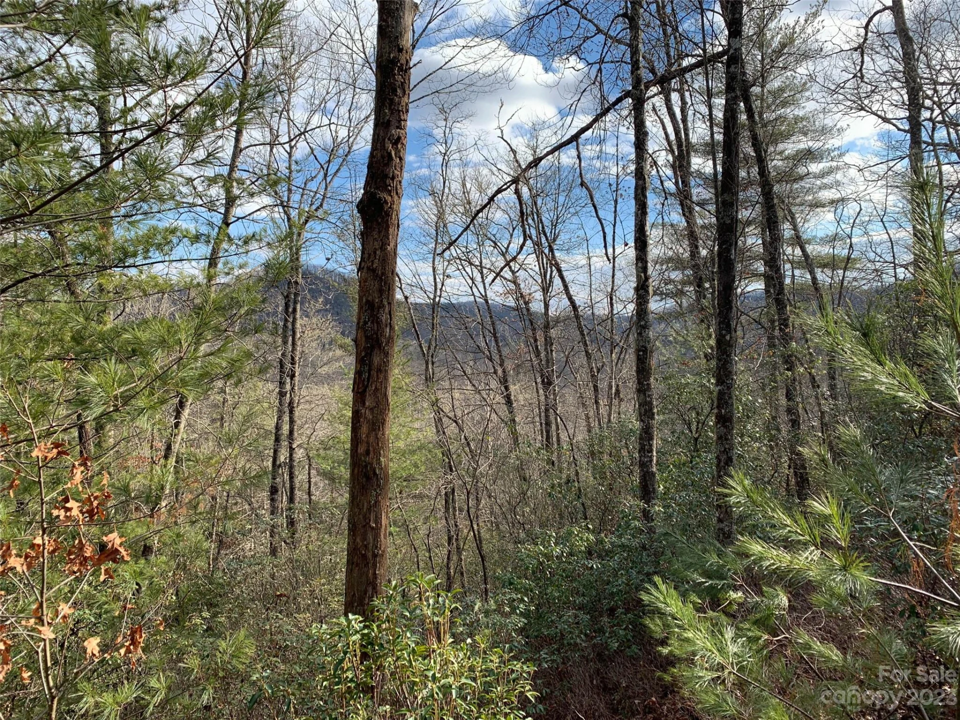 91 Laurel Thicket Lane