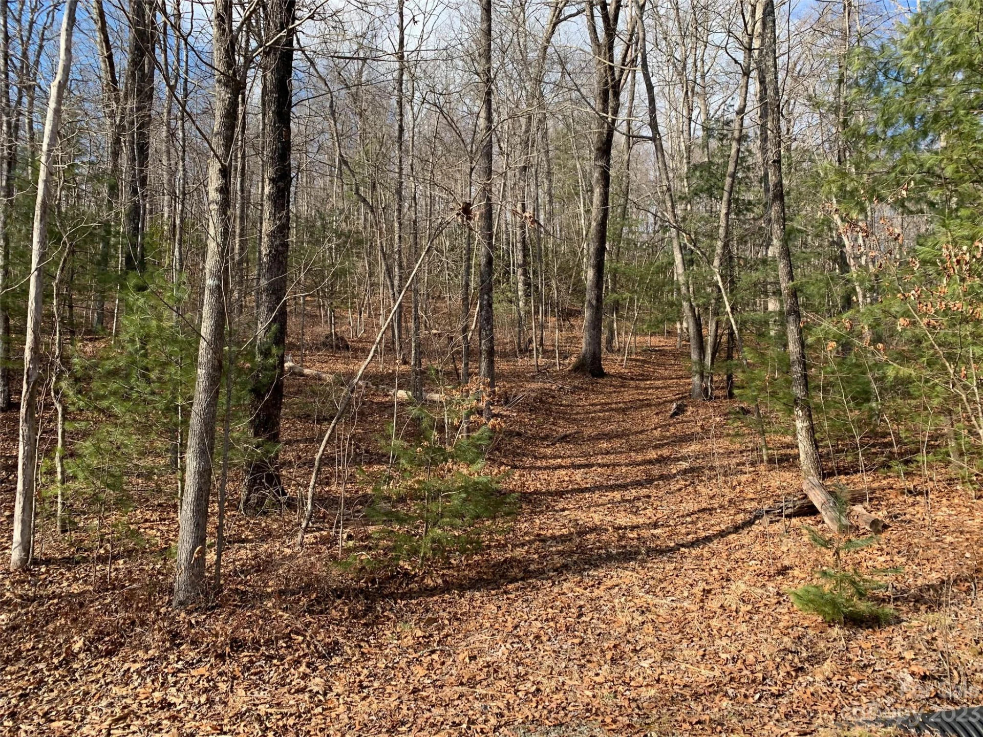 91 Laurel Thicket Lane - Photo 2