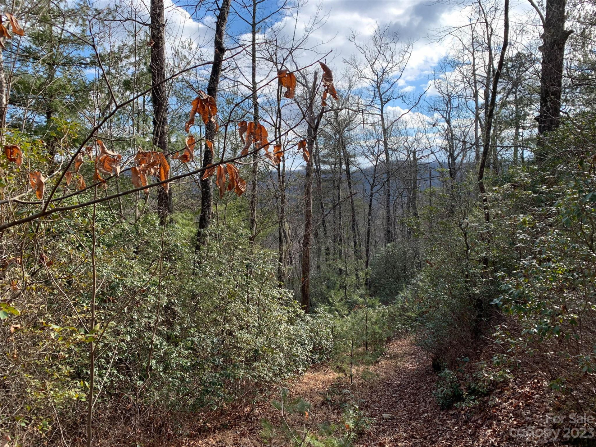 91 Laurel Thicket Lane - Photo 3