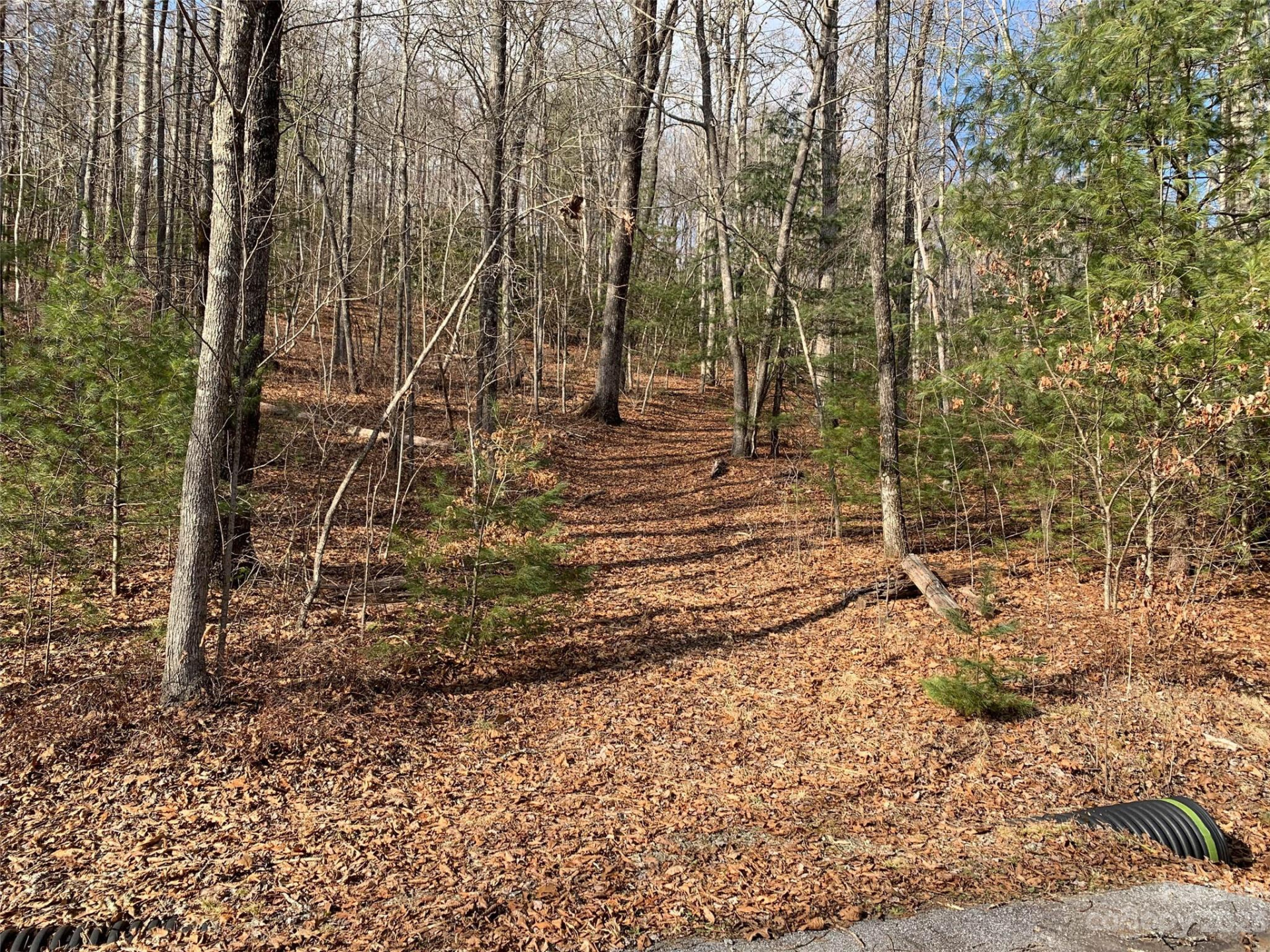 91 Laurel Thicket Lane - Photo 4