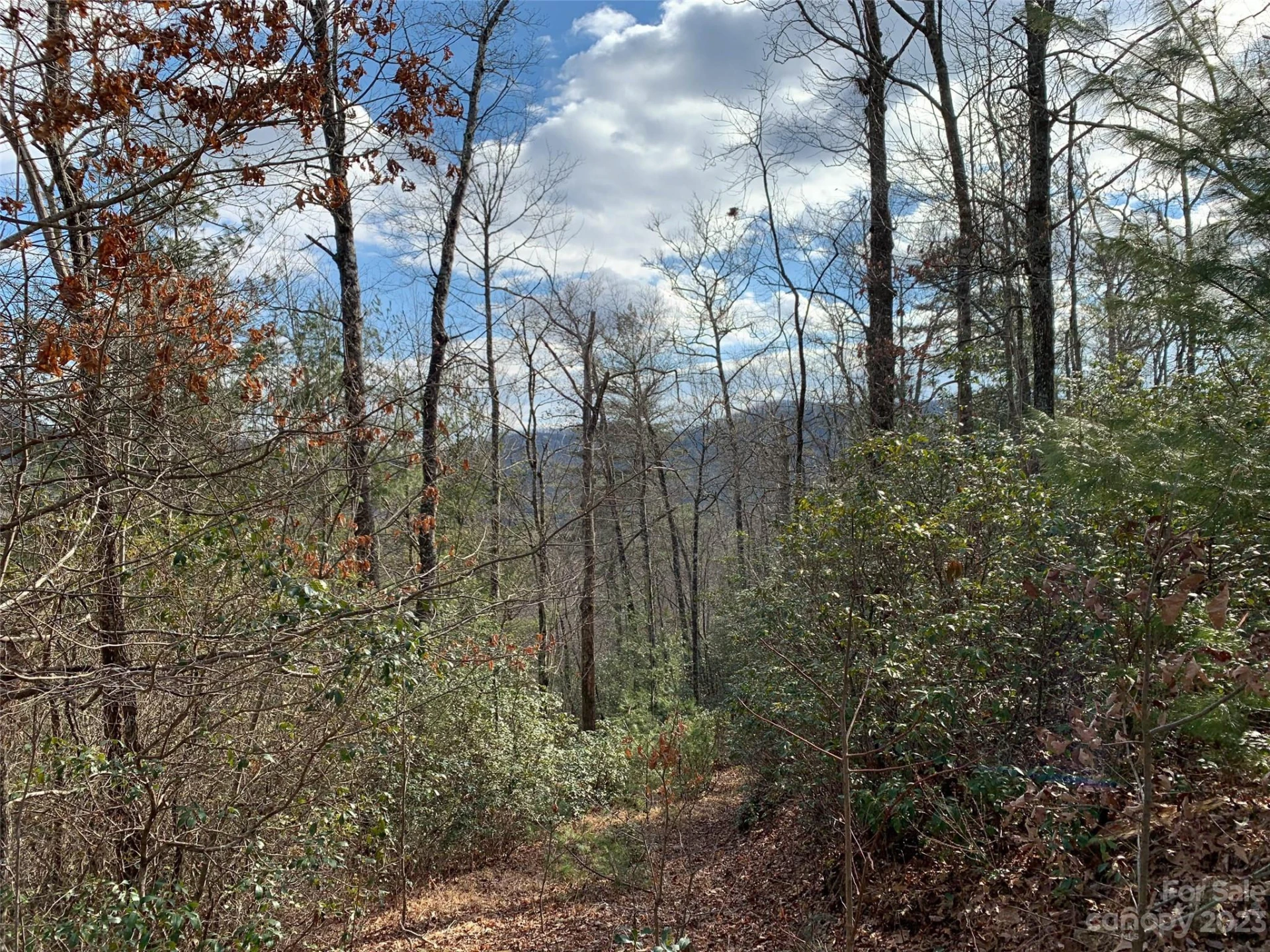 91 Laurel Thicket Lane - Photo 5