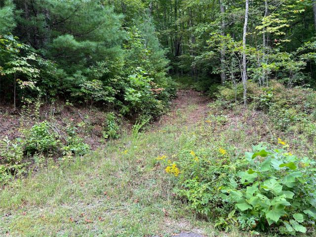 106 Green Hollow Lane