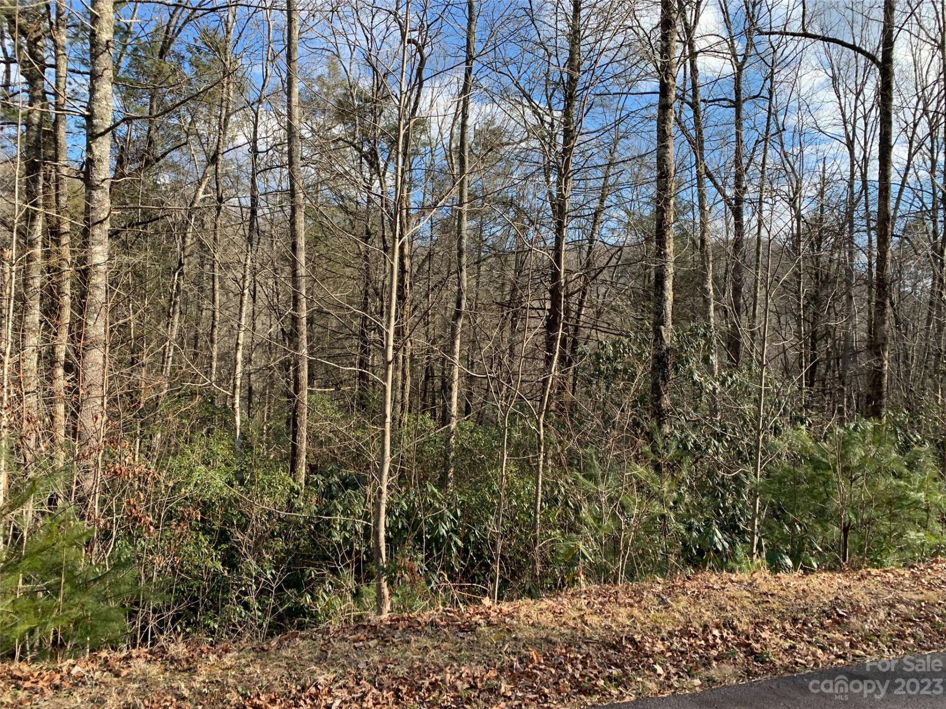 126 Green Hollow Lane - Photo 2