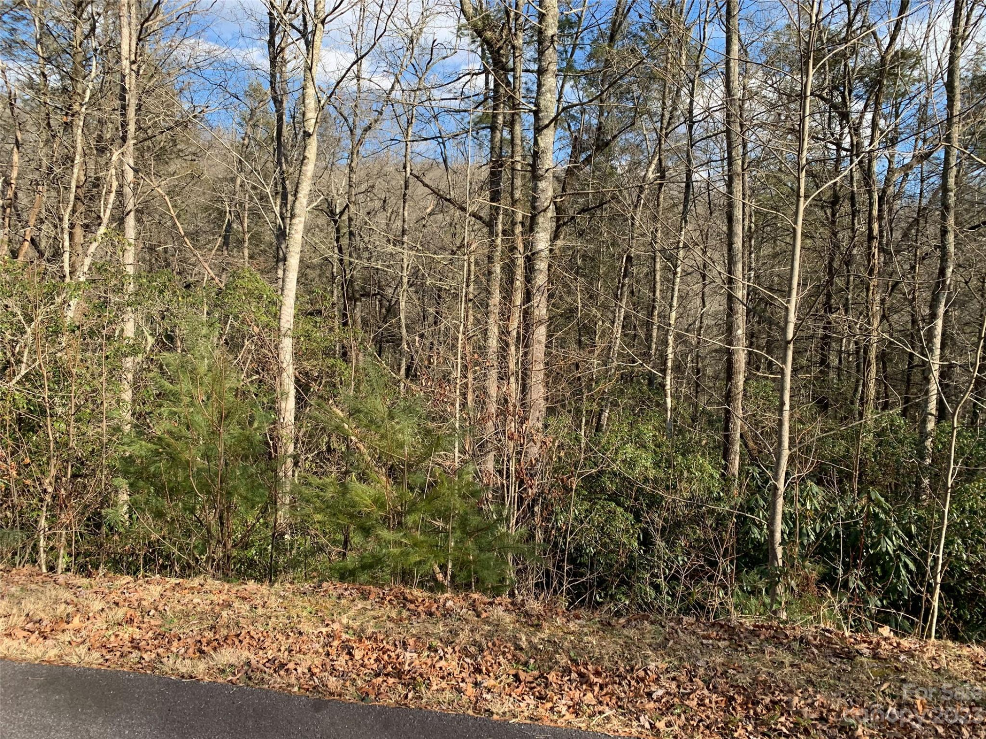 126 Green Hollow Lane - Photo 3