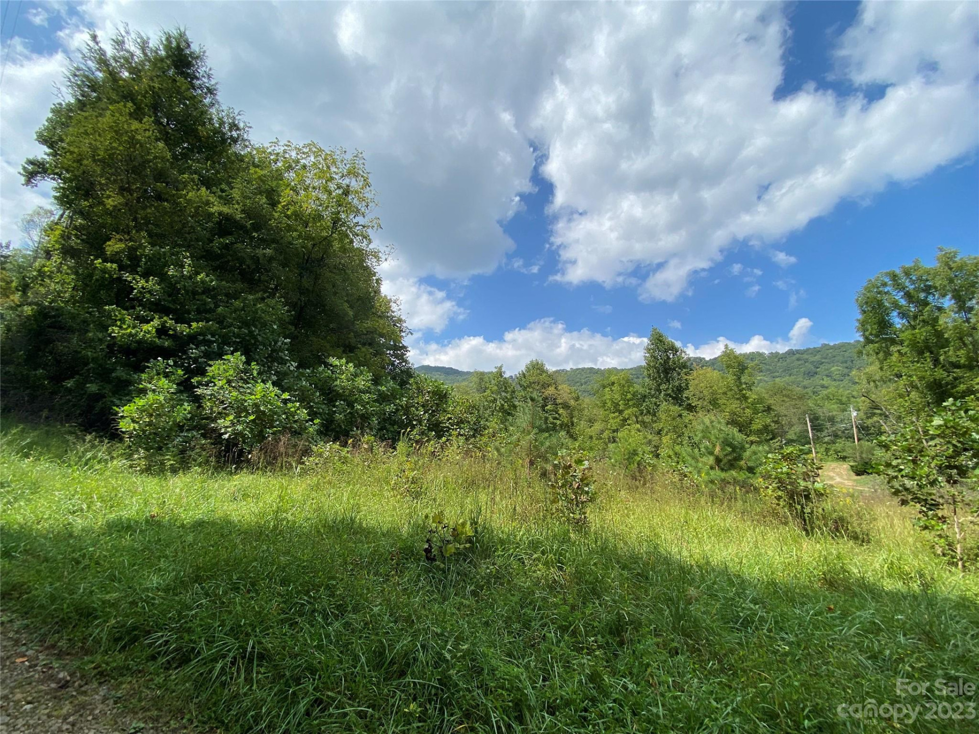 00000 Screech Owl Drive - Photo 2