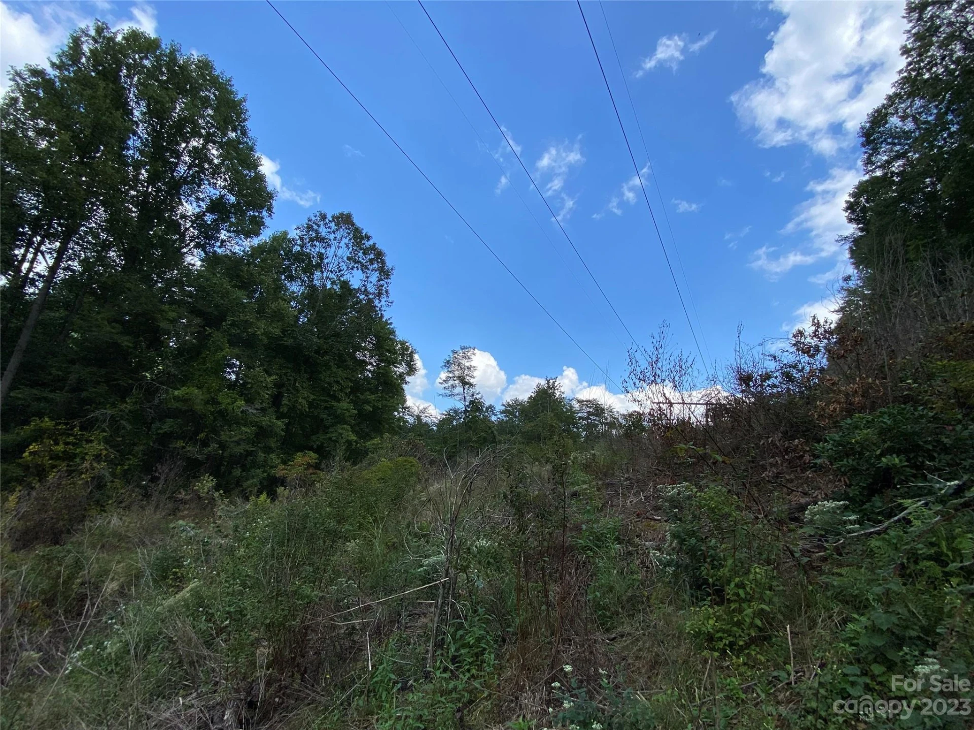 00000 Screech Owl Drive - Photo 13
