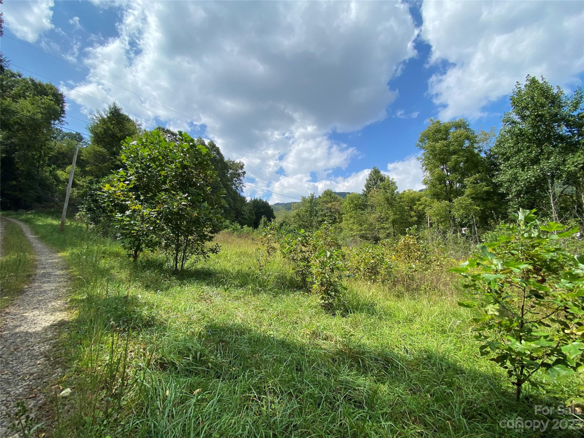 00000 Screech Owl Drive - Photo 3