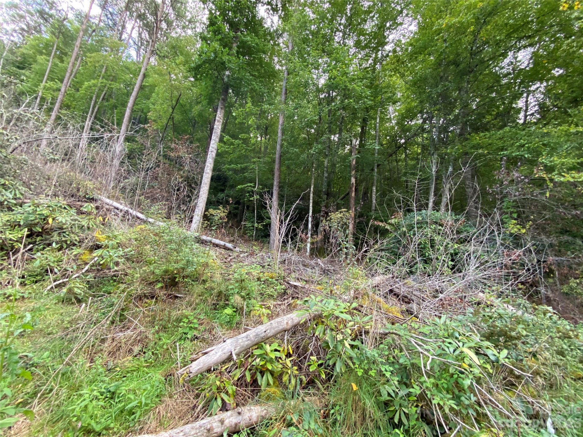 00000 Screech Owl Drive - Photo 4