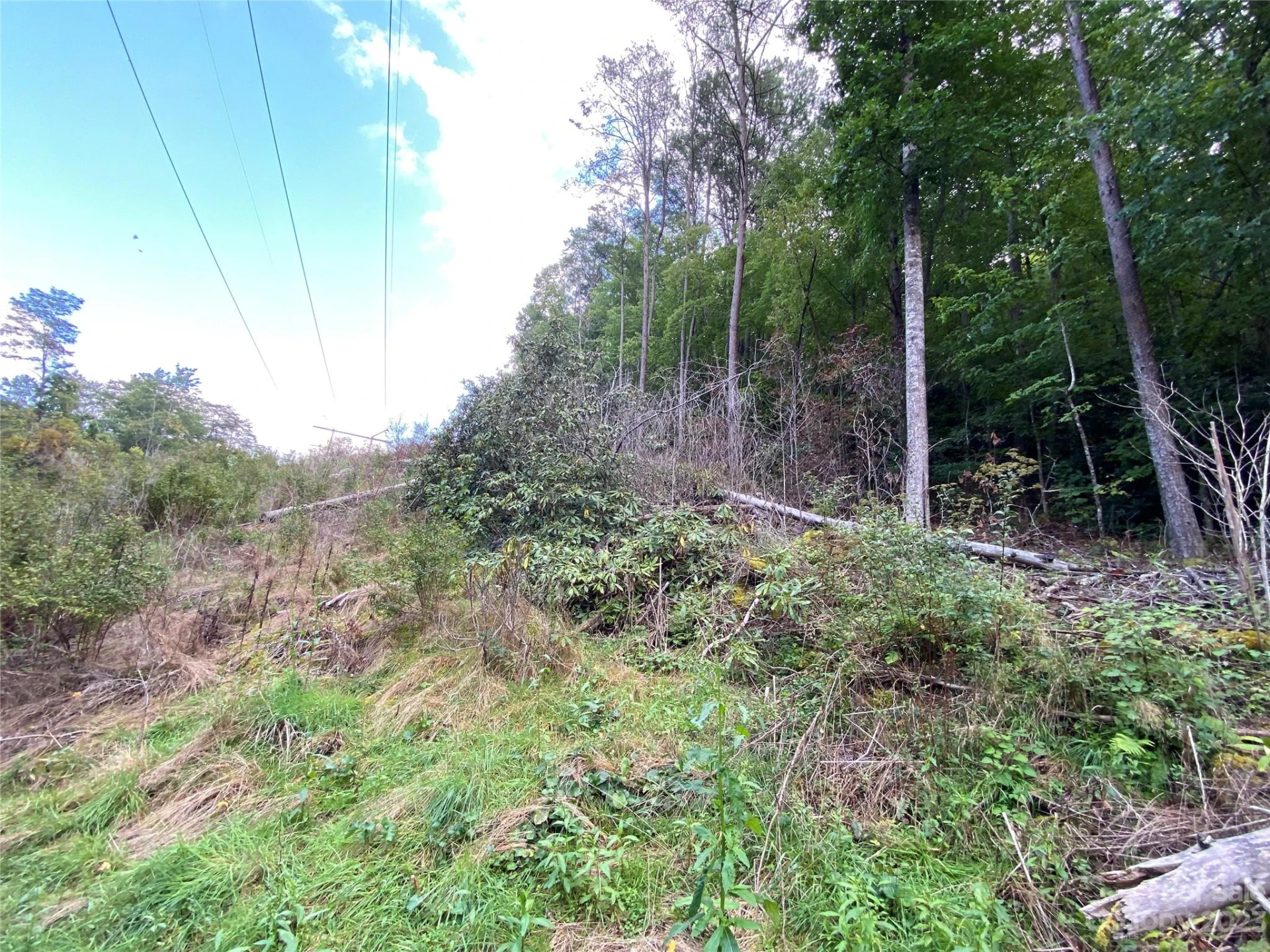 00000 Screech Owl Drive - Photo 10