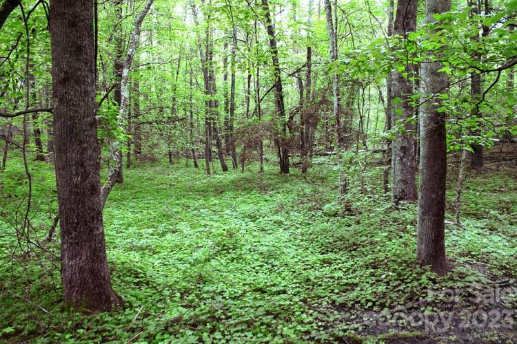 0 Westridge Drive #88 - Photo 2