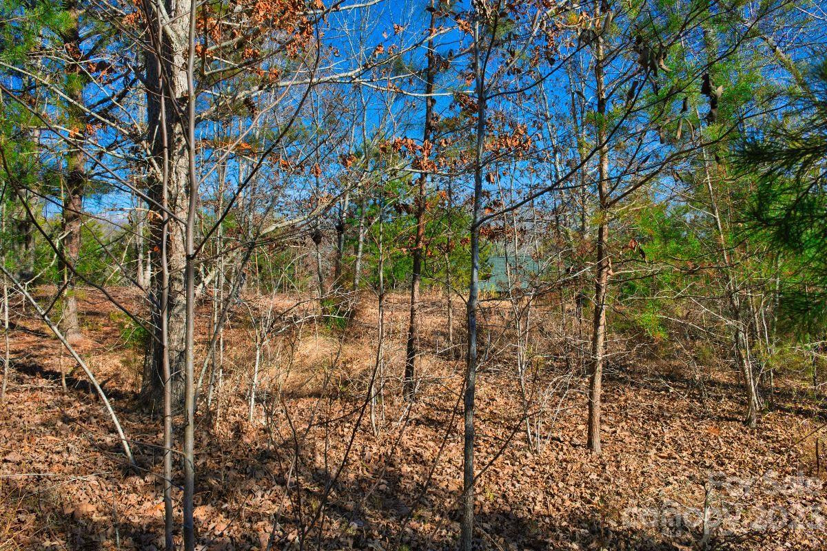 0 Whitestone Circle #81 - Photo 2