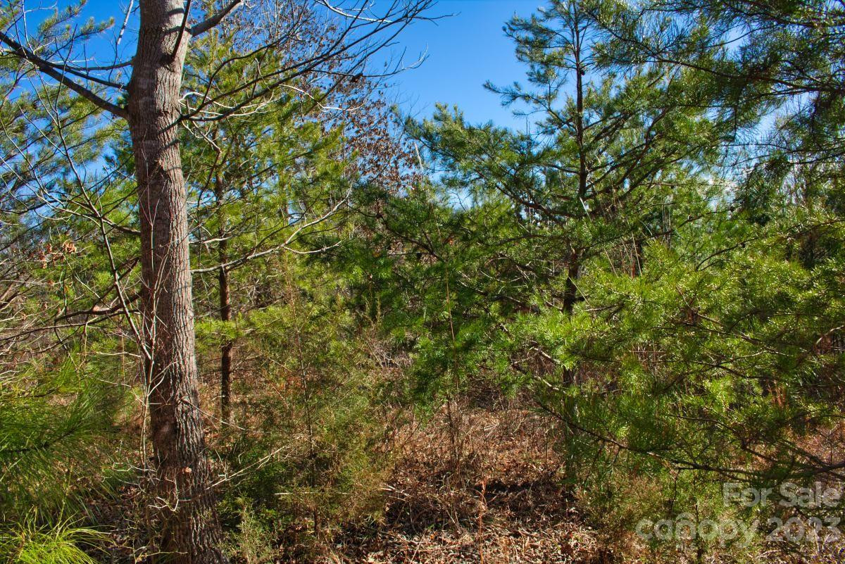 0 Whitestone Circle #81 - Photo 3