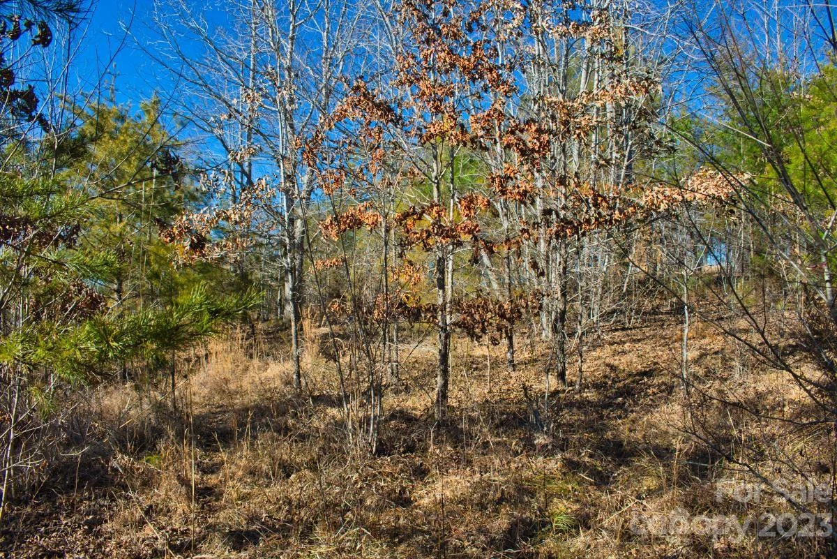 0 Whitestone Circle #81 - Photo 4