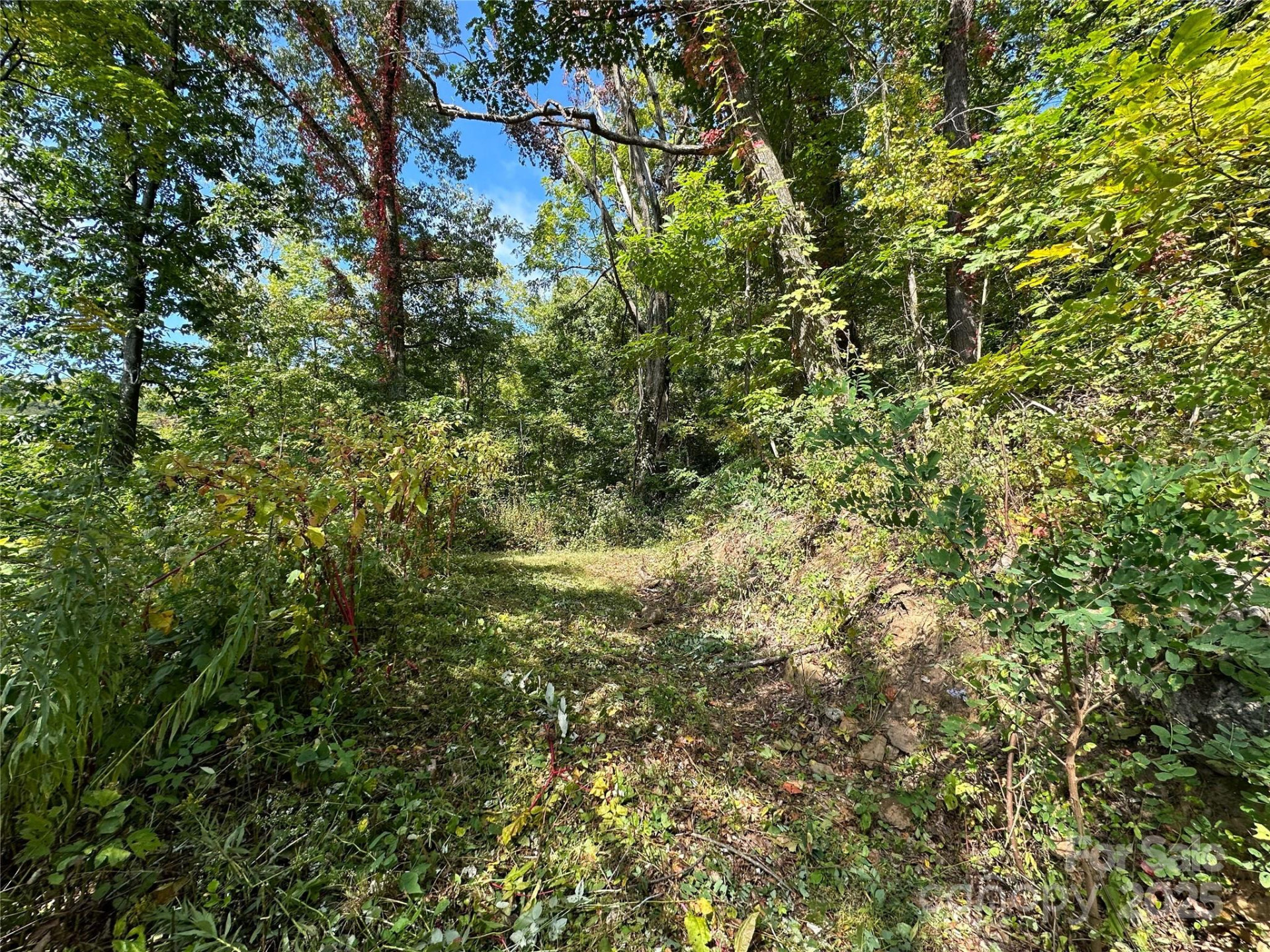 00 High Rock View Drive - Photo 11