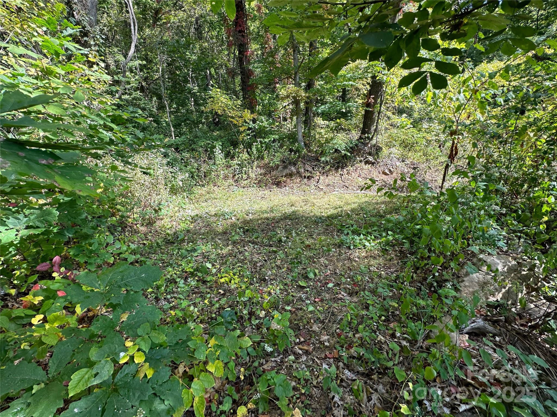 00 High Rock View Drive - Photo 12