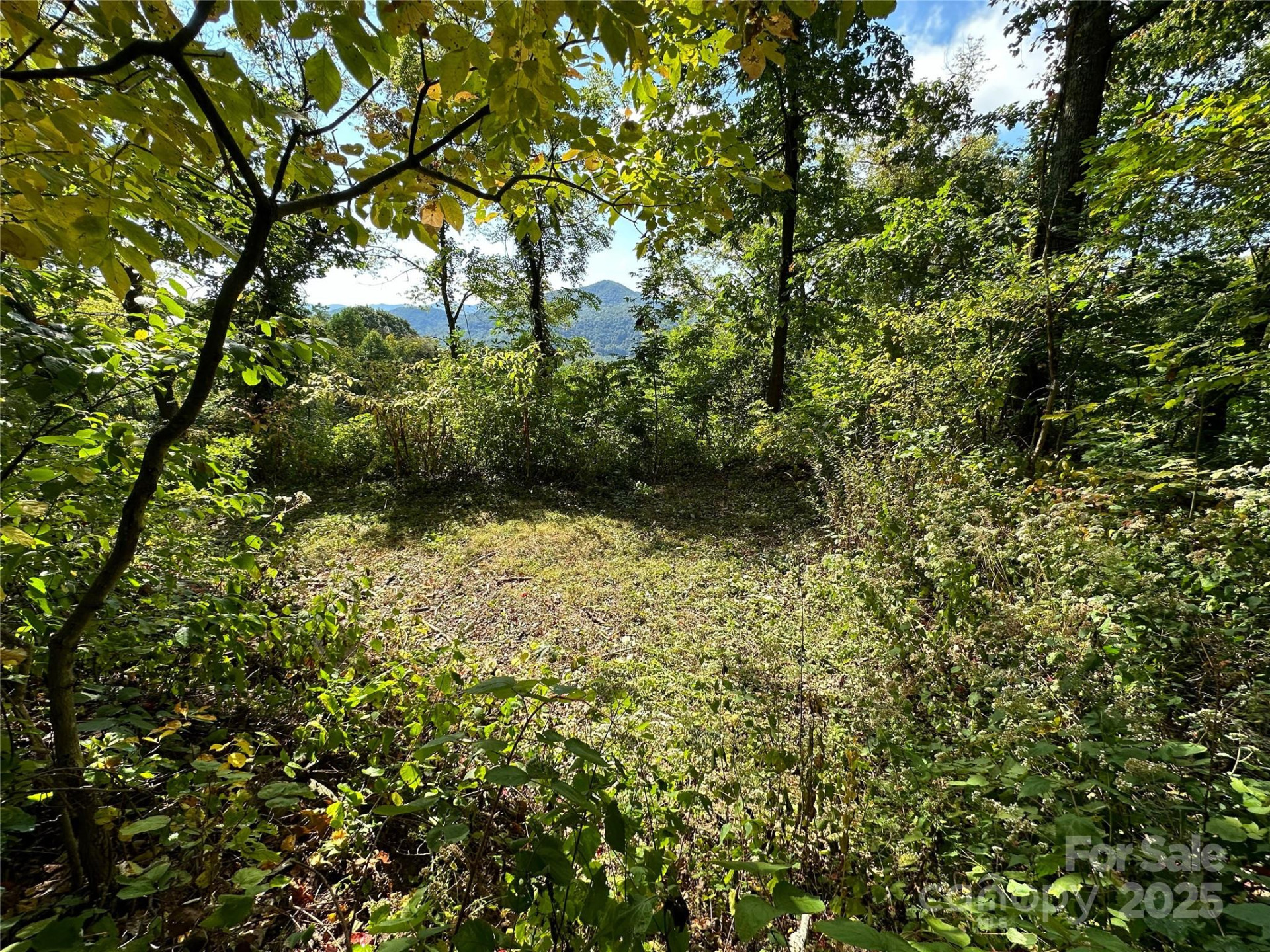 00 High Rock View Drive - Photo 13