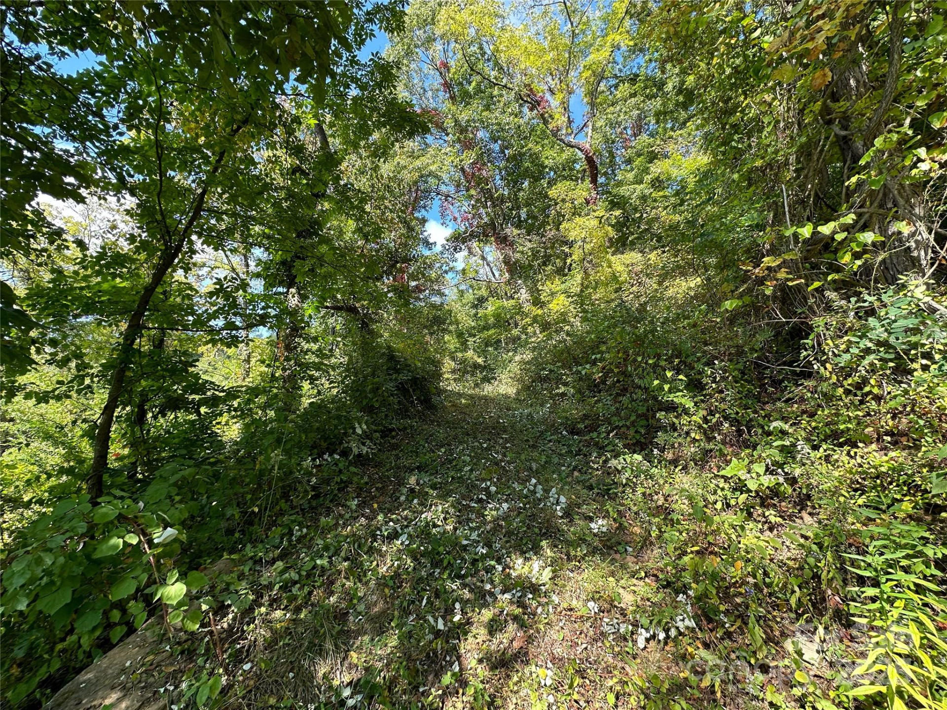 00 High Rock View Drive - Photo 14