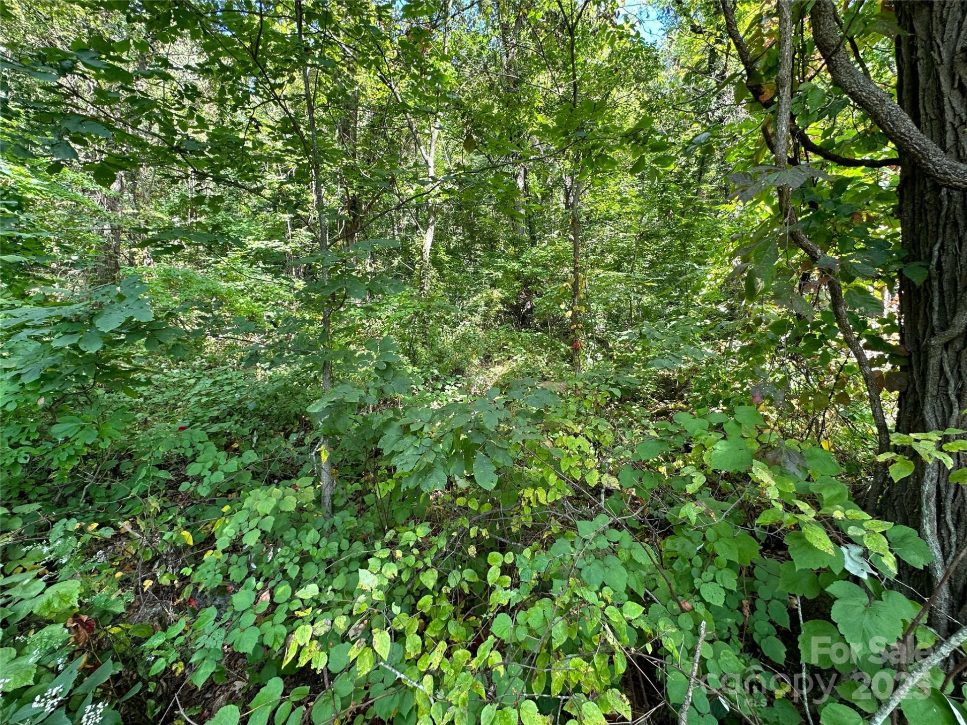 00 High Rock View Drive - Photo 15