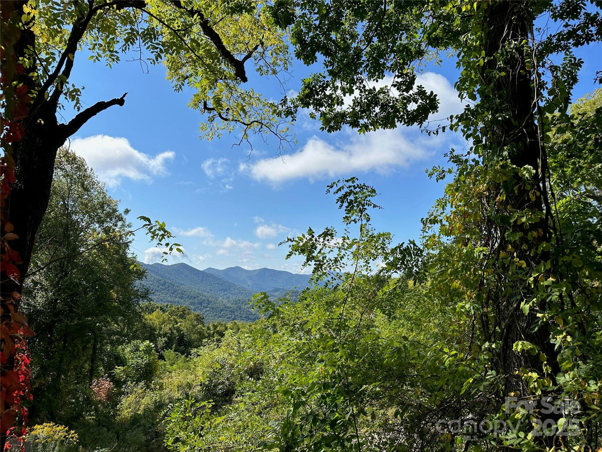 00 High Rock View Drive - Photo 16