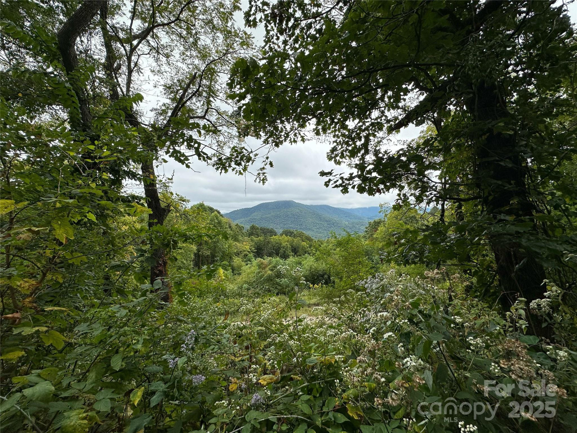 00 High Rock View Drive - Photo 17
