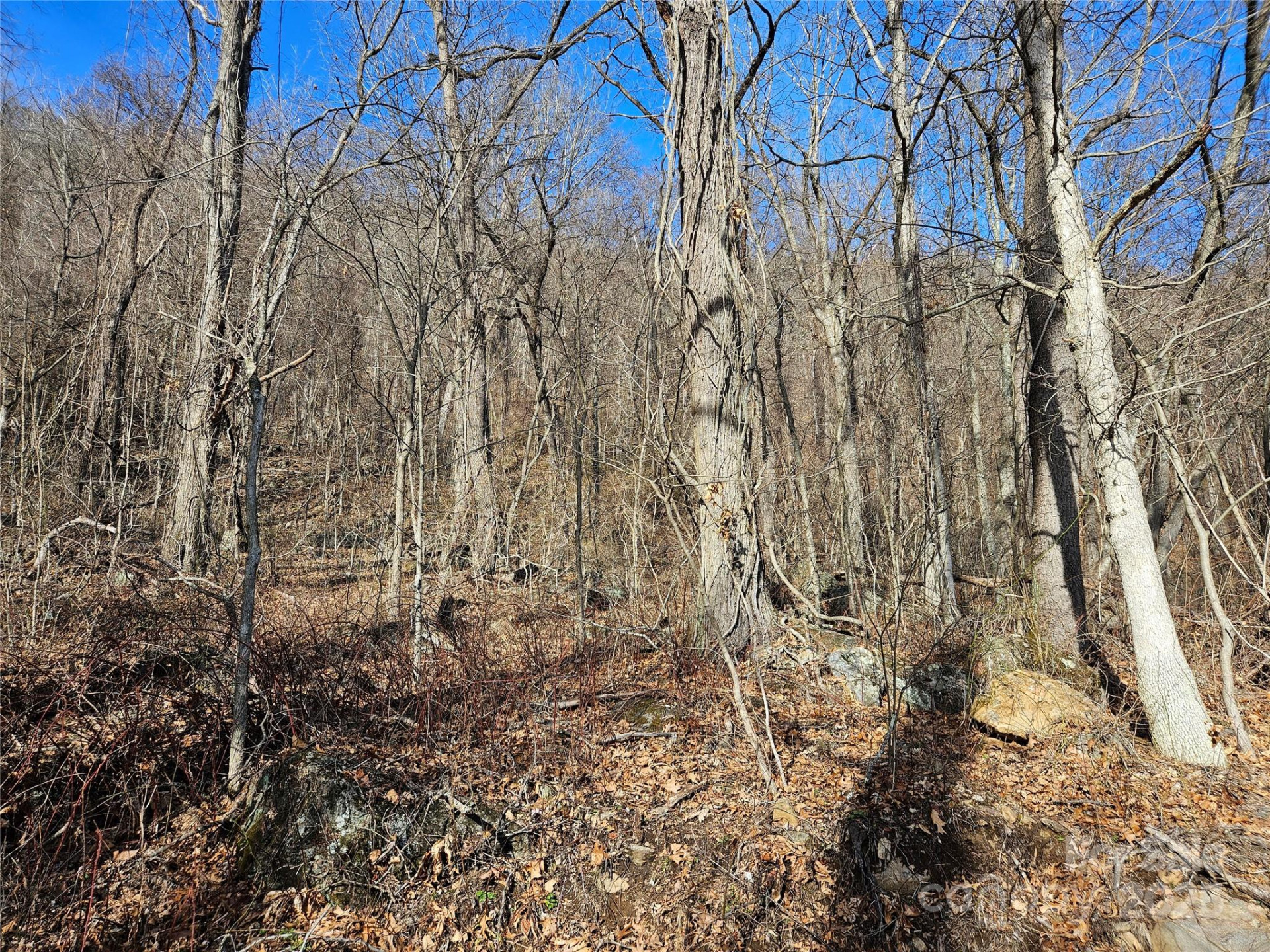 00 High Rock View Drive - Photo 6