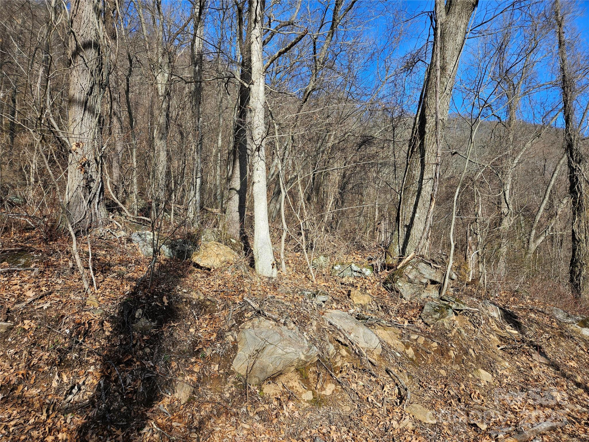 00 High Rock View Drive - Photo 7