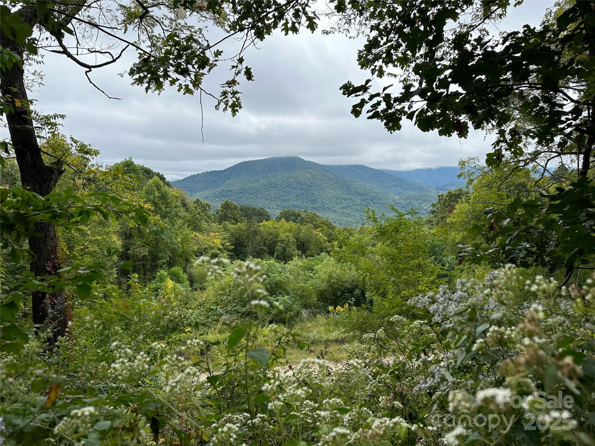 00 High Rock View Drive - Photo 8