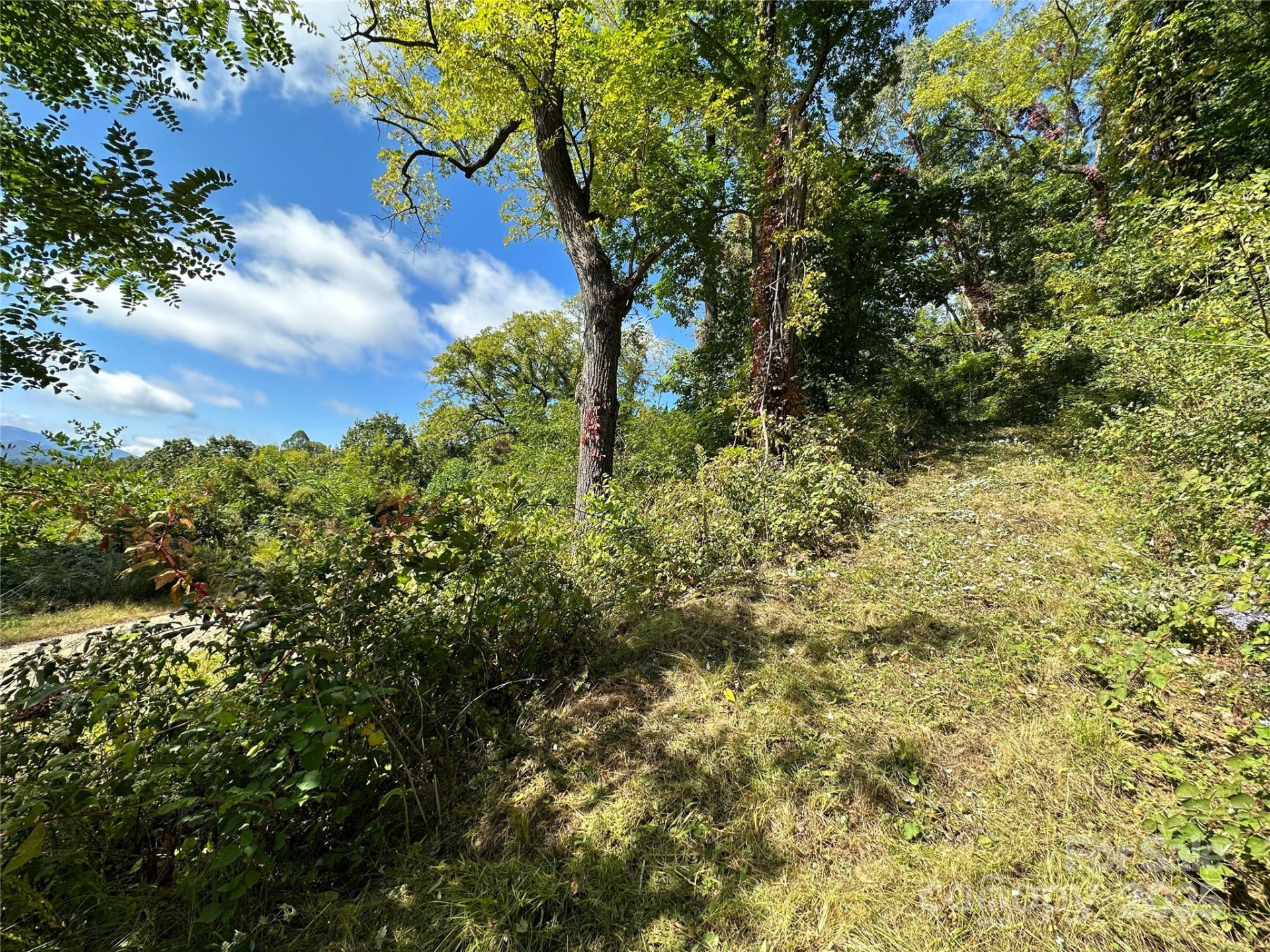 00 High Rock View Drive - Photo 9