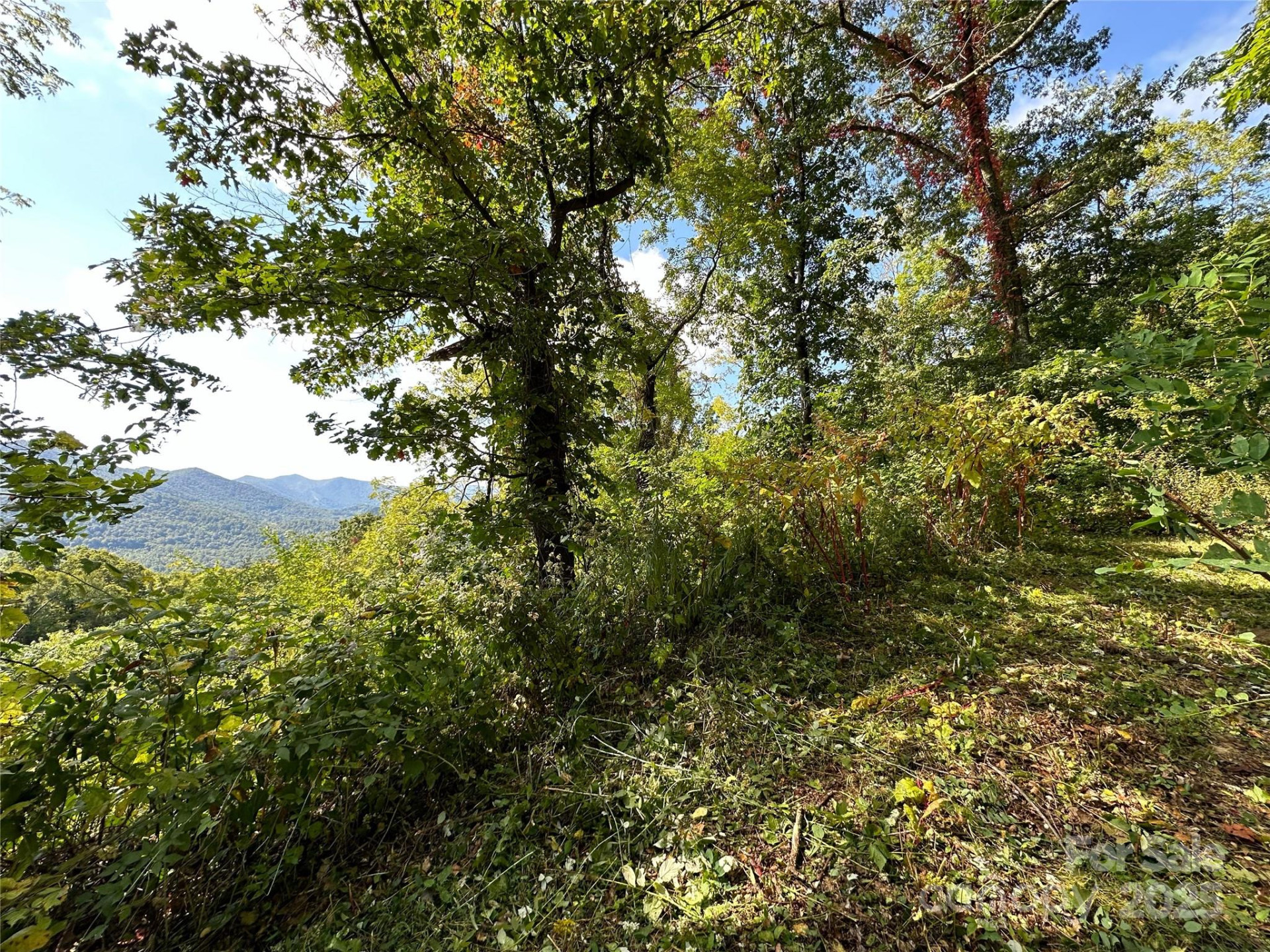 00 High Rock View Drive - Photo 10