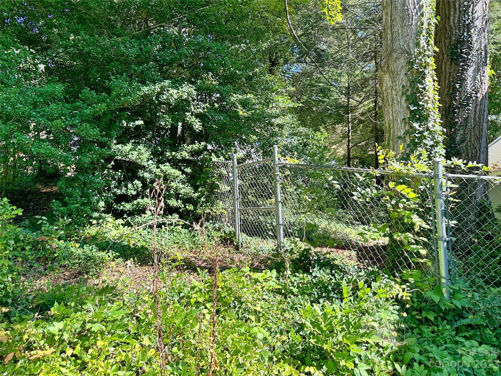 324 Buzzards Roost Road - Photo 6